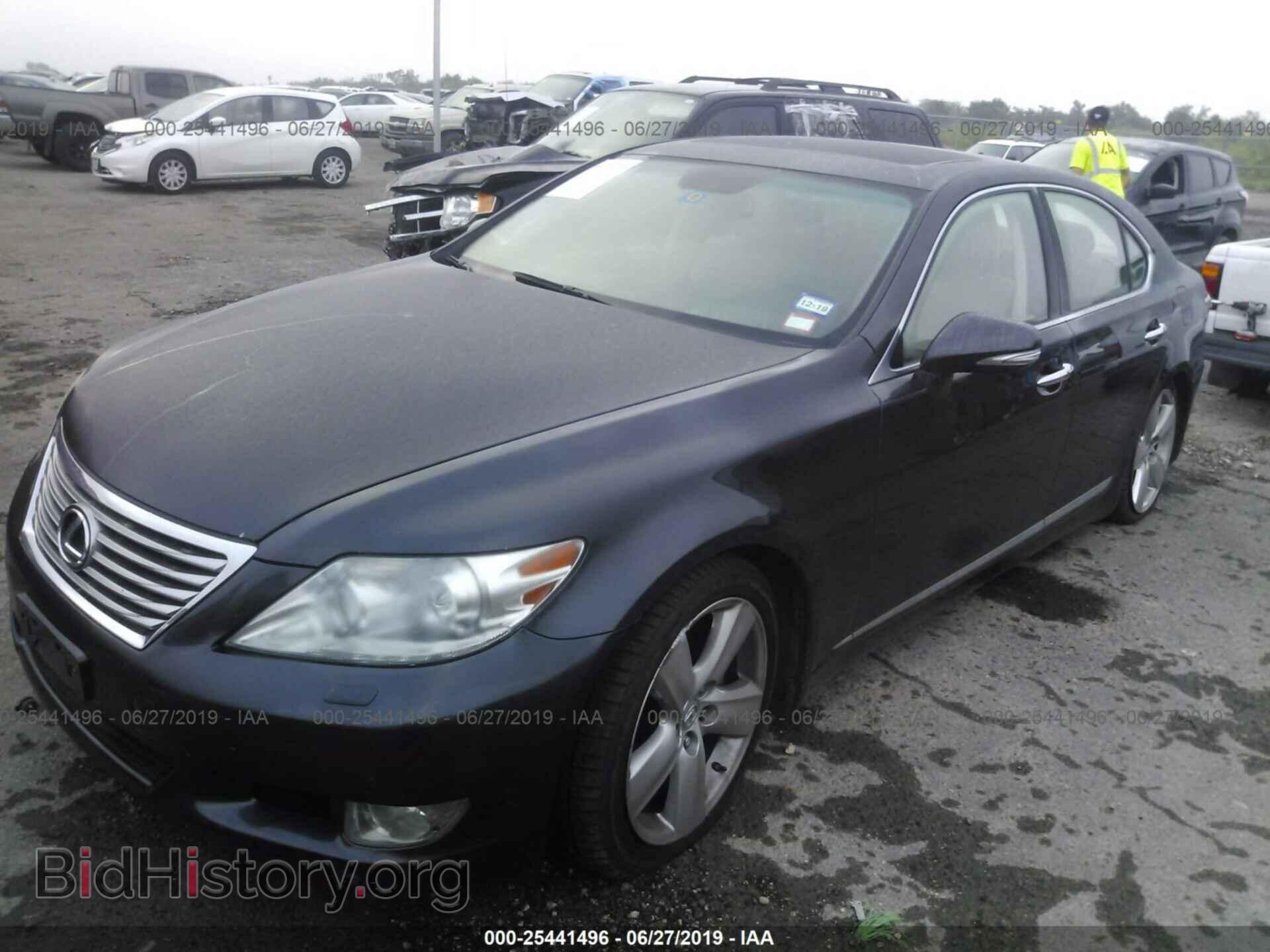 2010 LEXUS LS - VIN: JTHBL5EF8A5093184 - Фото 2