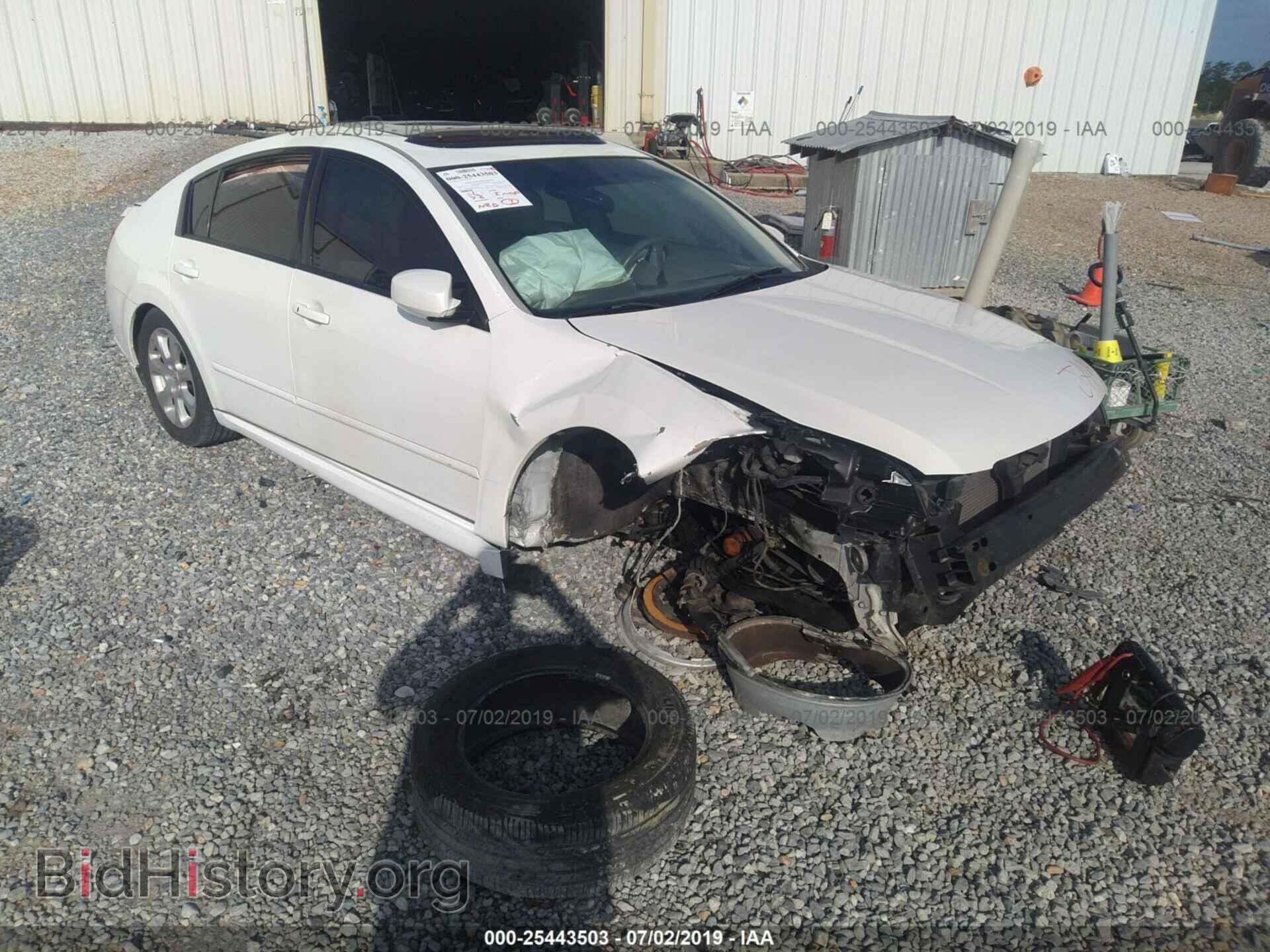 Photo 1N4BA41E38C805546 - NISSAN MAXIMA 2008