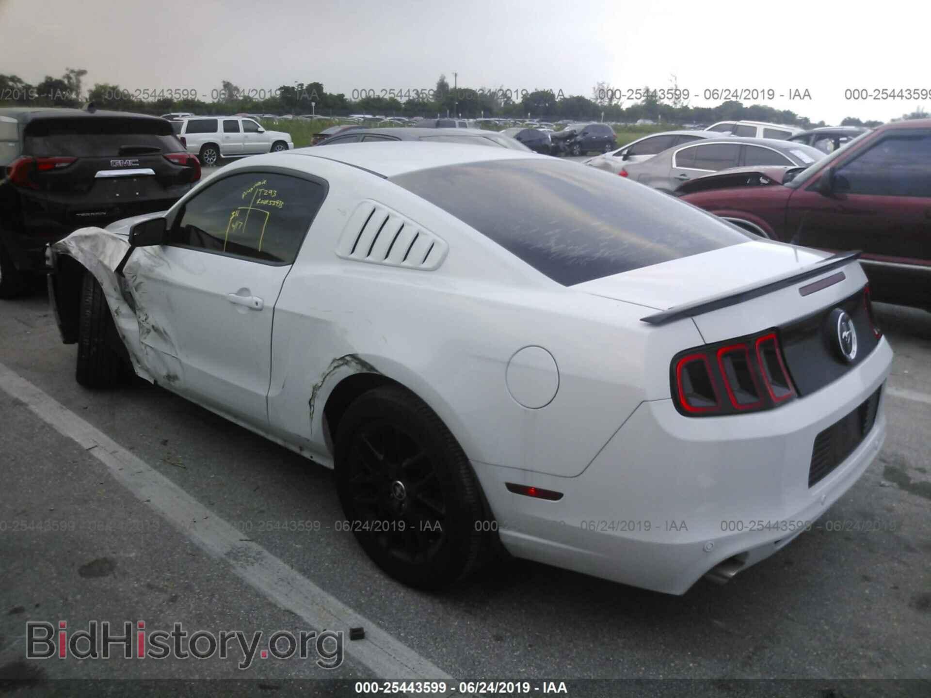 2014 FORD MUSTANG - VIN: 1ZVBP8AM7E5200367 - Фото 3