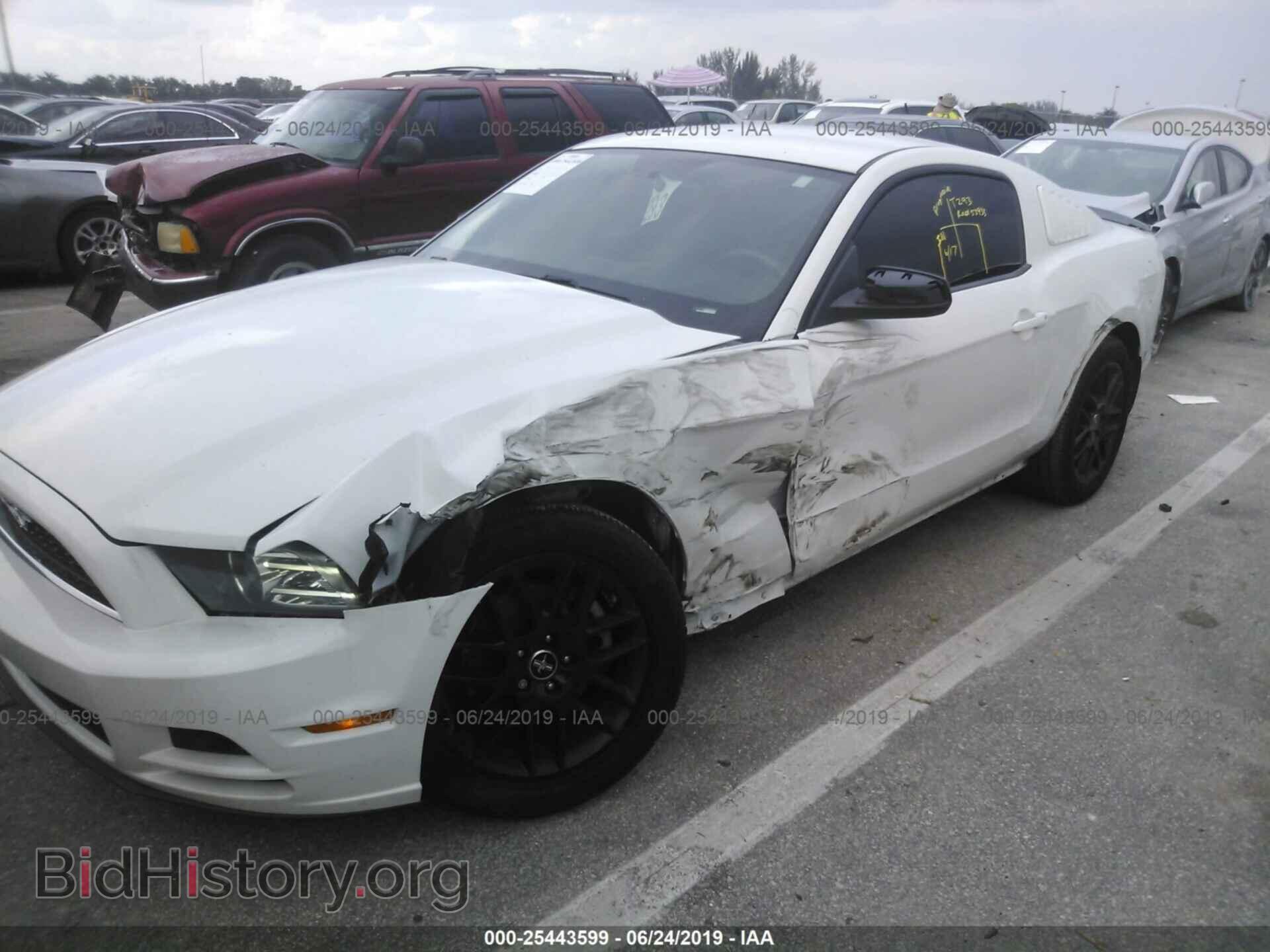 2014 FORD MUSTANG - VIN: 1ZVBP8AM7E5200367 - Фото 6
