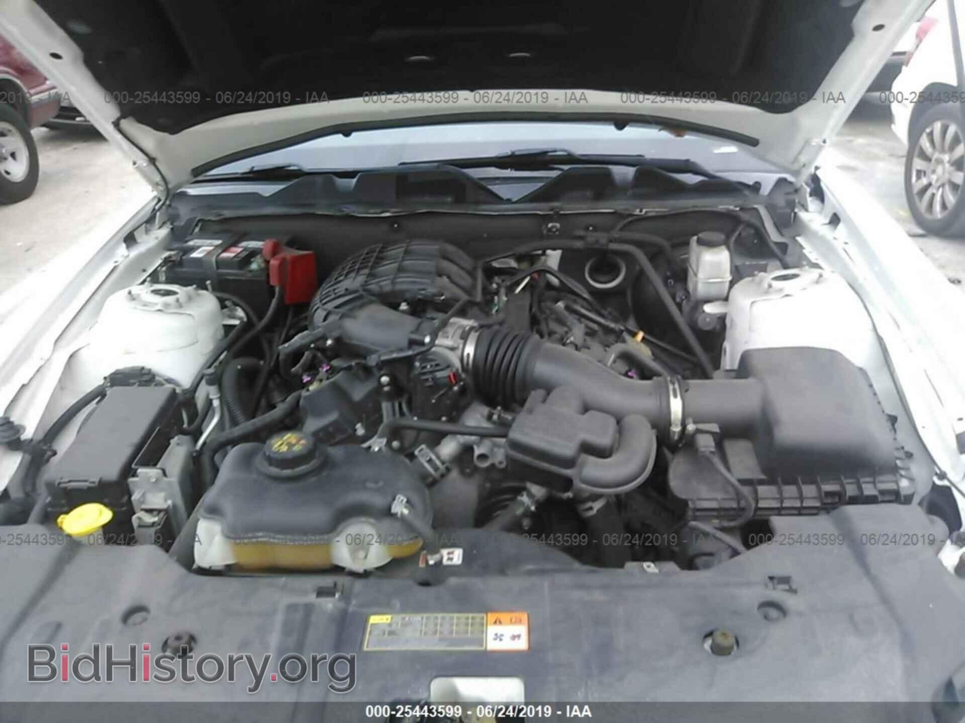 2014 FORD MUSTANG - VIN: 1ZVBP8AM7E5200367 - Фото 10