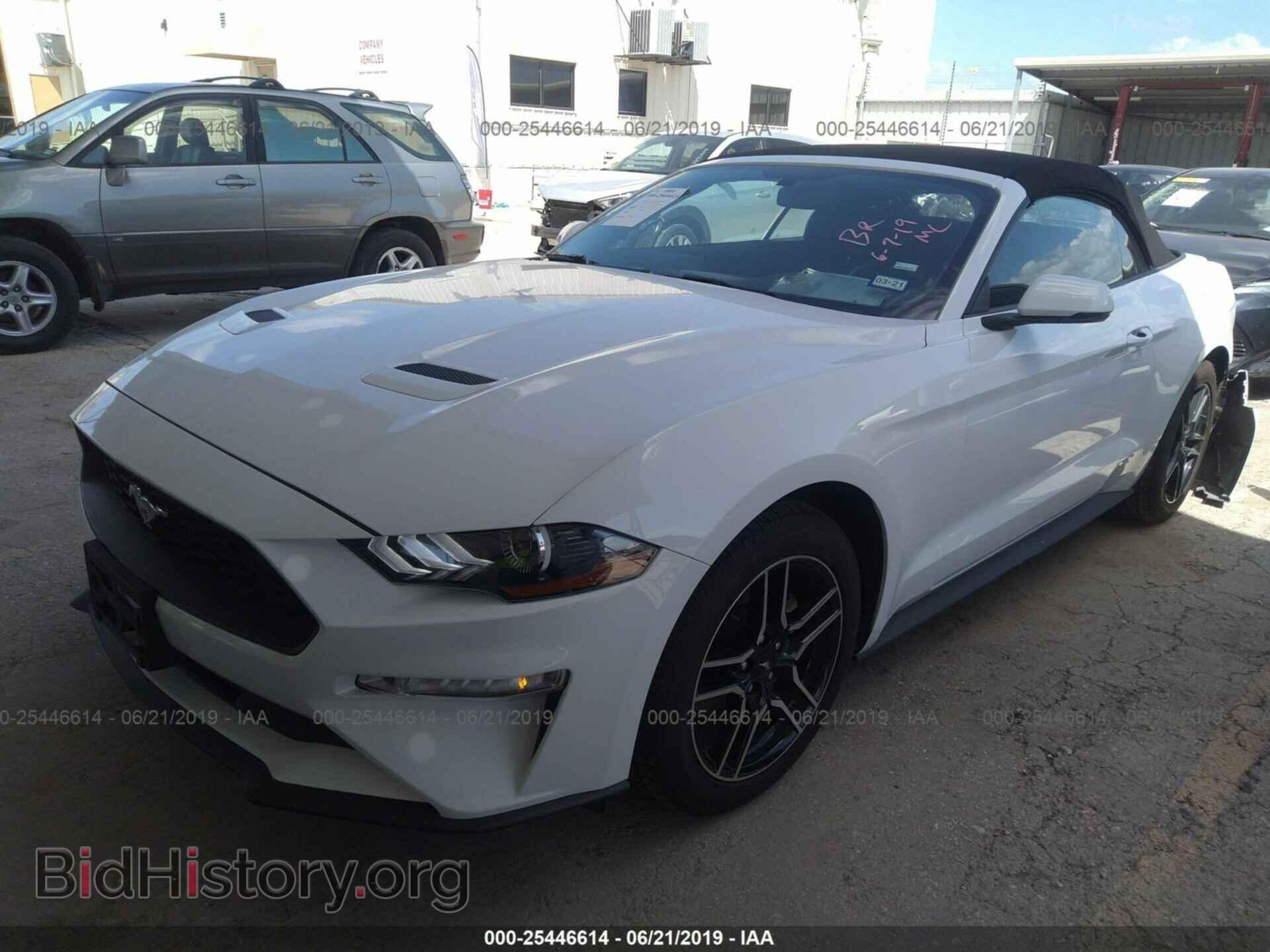2019 FORD MUSTANG - VIN: 1FATP8UH9K5158744 - Фото 2