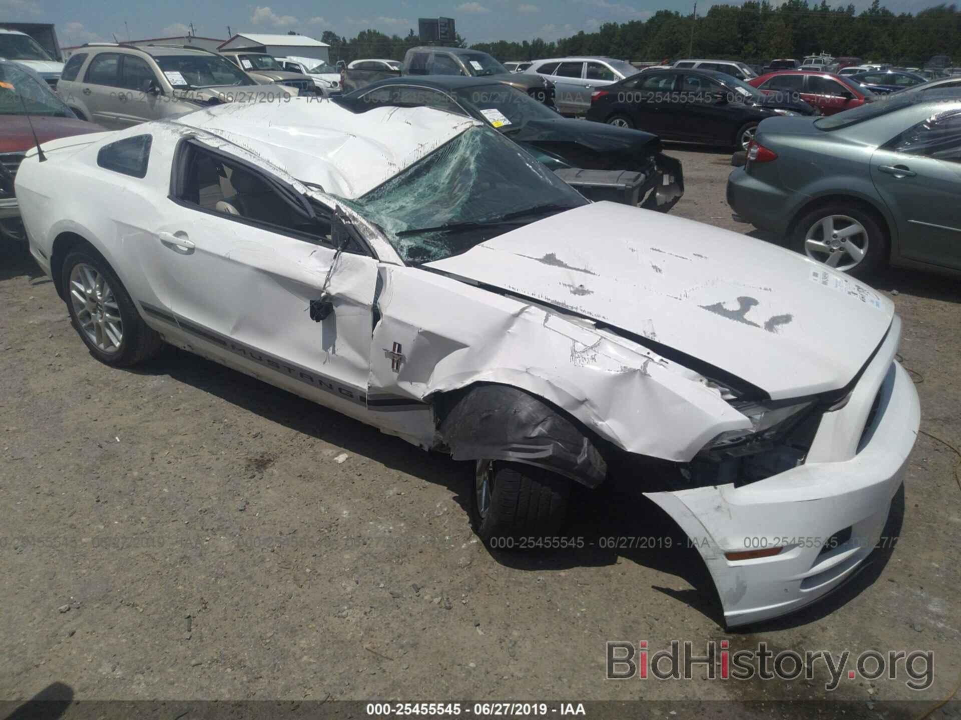 Photo 1ZVBP8AM9D5218061 - FORD MUSTANG 2013