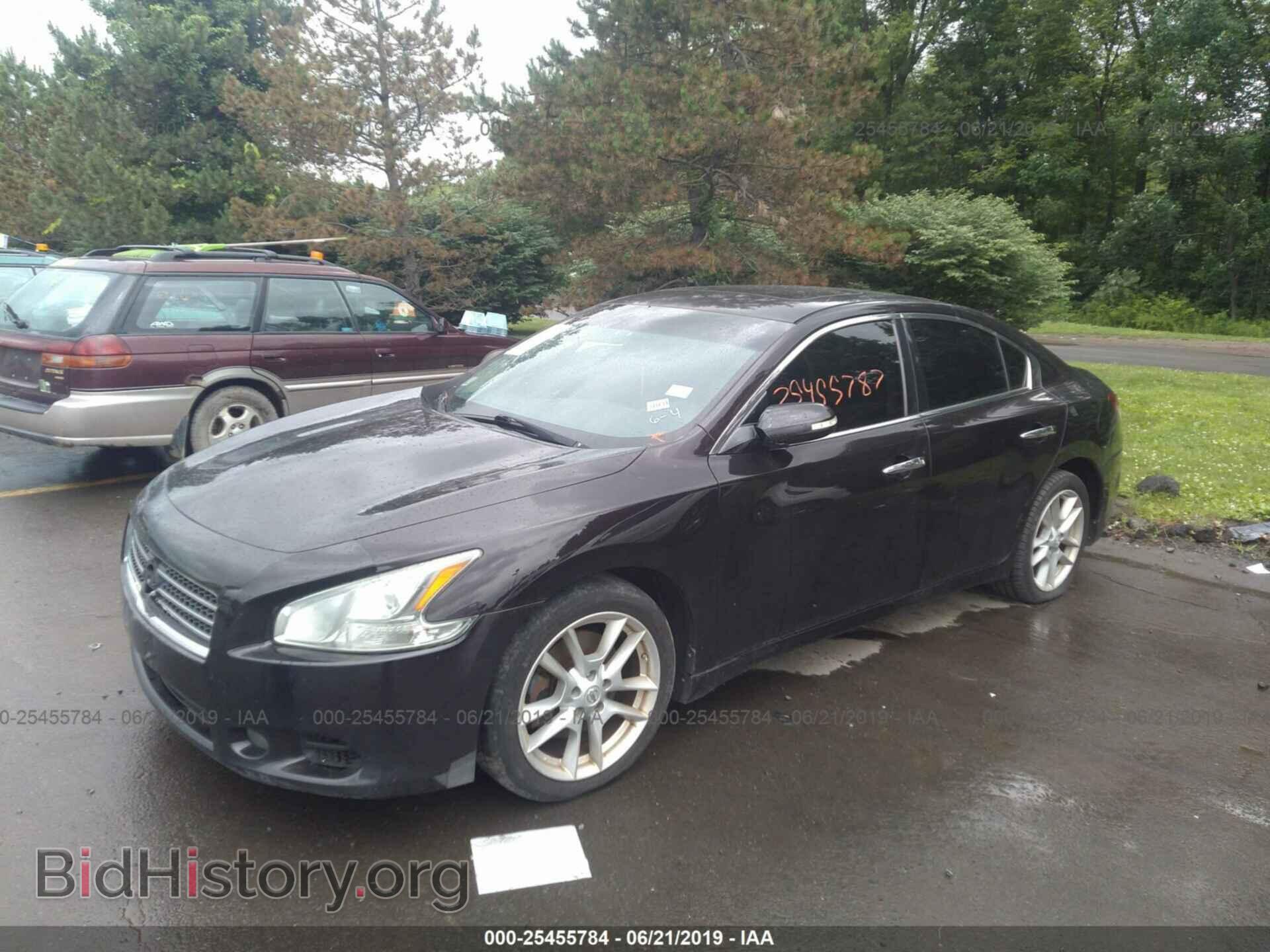 2010 NISSAN MAXIMA - VIN: 1N4AA5AP3AC800811 - Фото 2