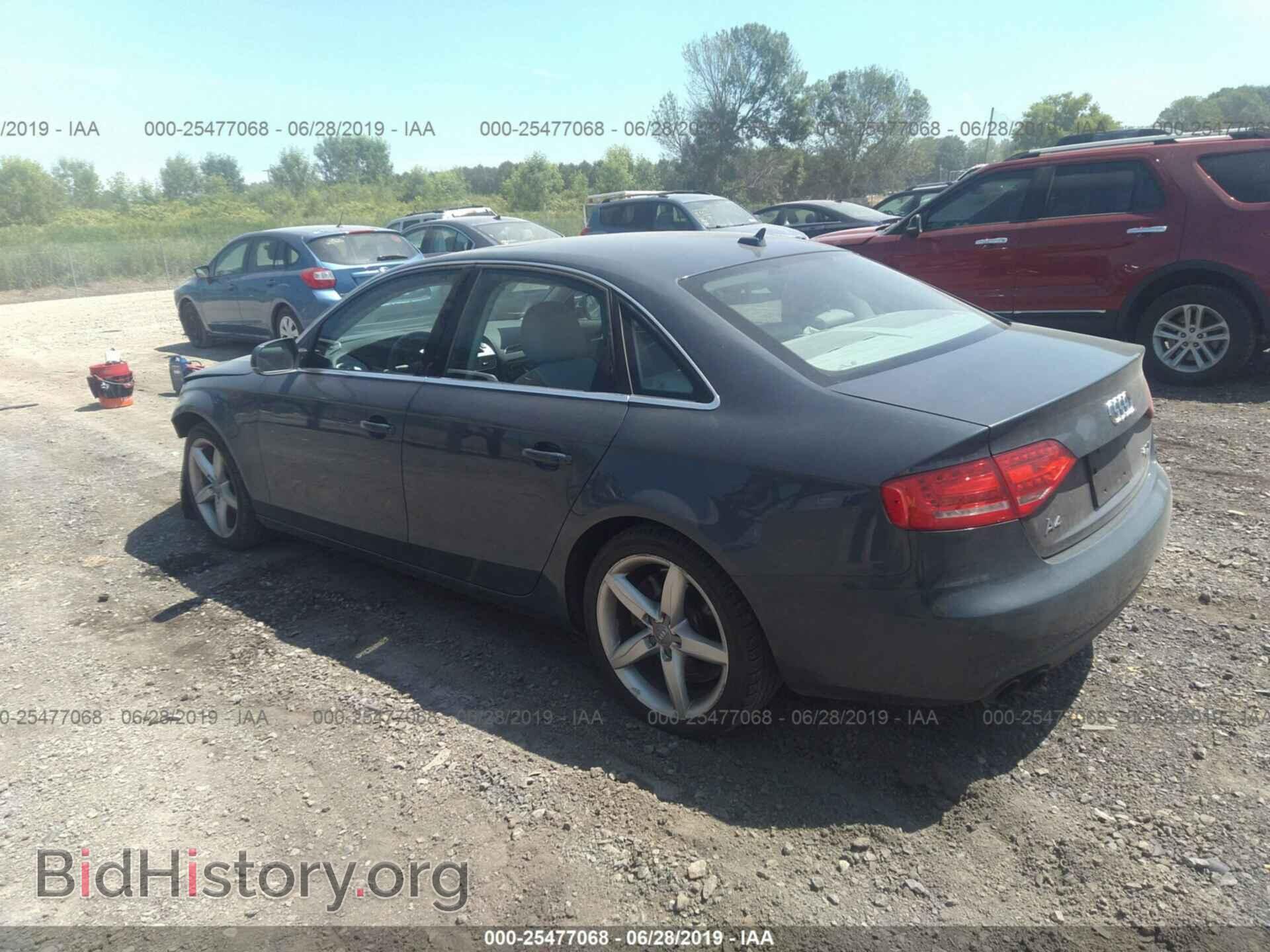 2010 AUDI A4 - VIN: WAUFFAFL7AN042408 - Фото 3