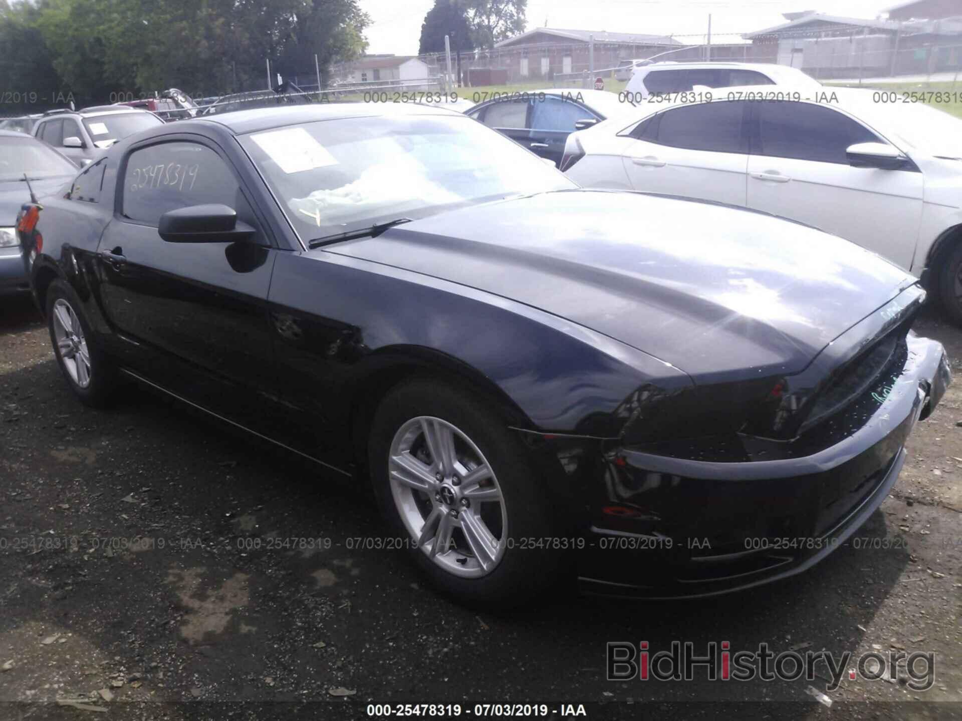 Photo 1ZVBP8AM2D5235249 - FORD MUSTANG 2013
