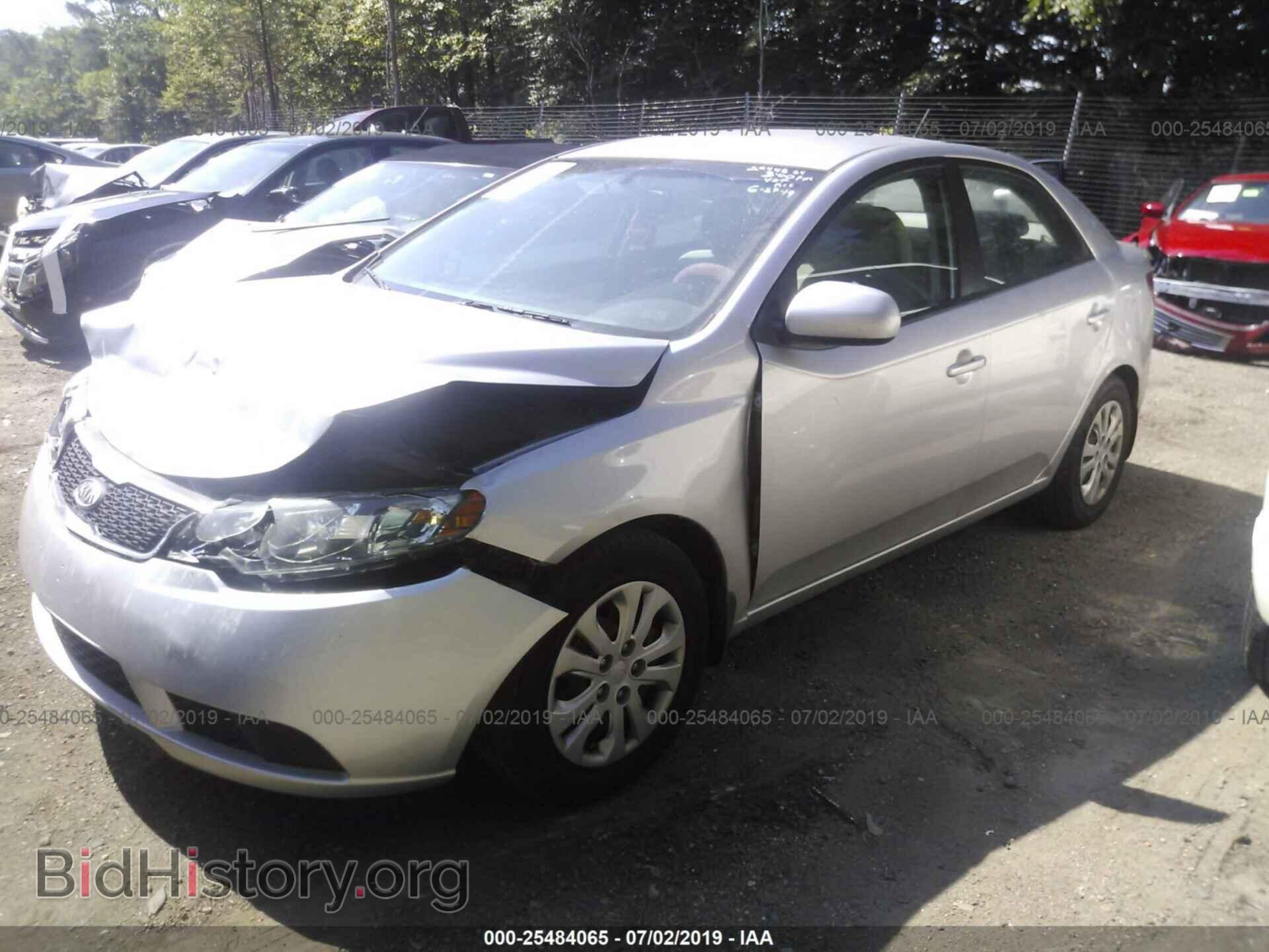 2013 KIA FORTE - VIN: KNAFT4A20D5696633 - Фото 2