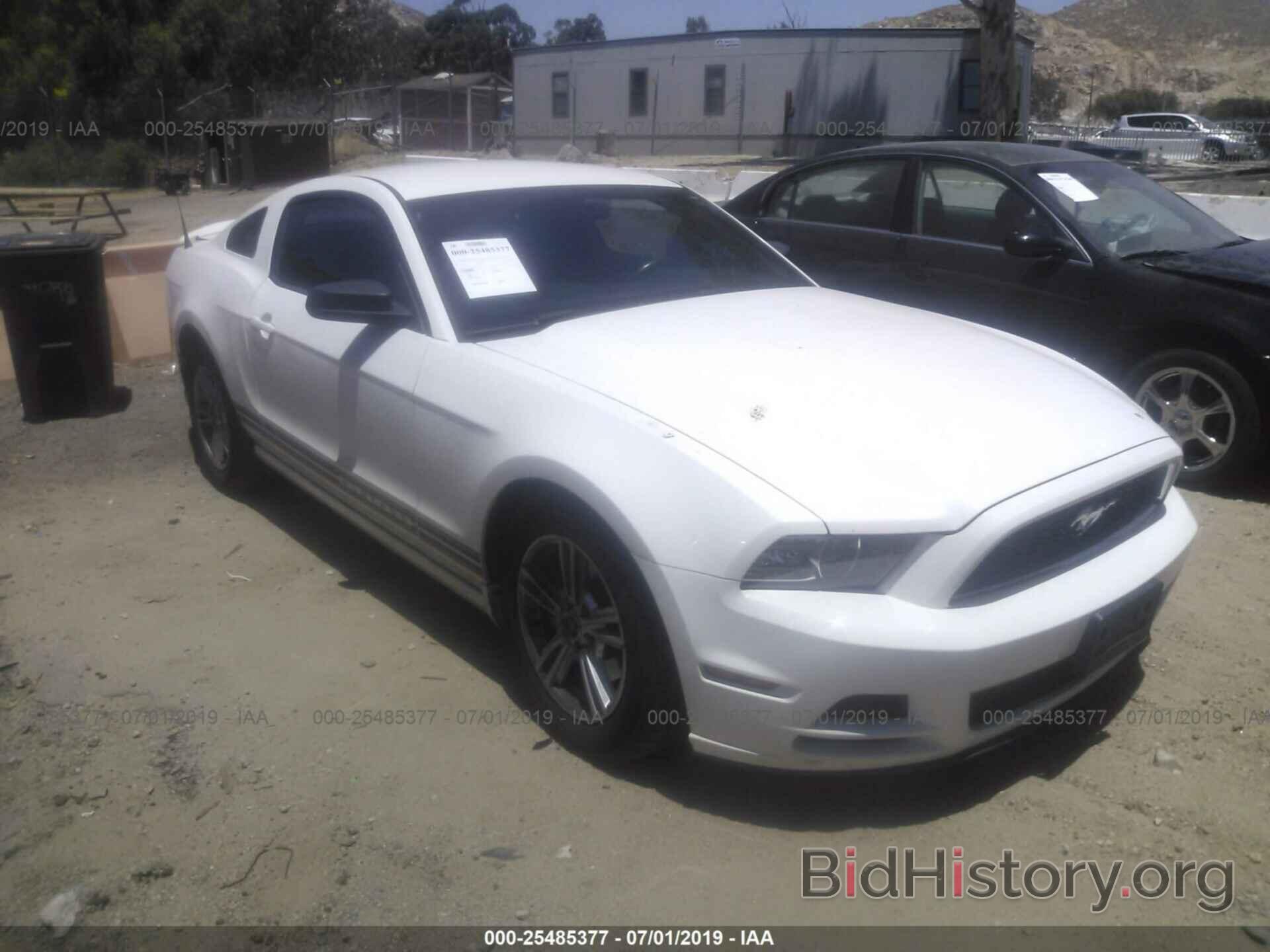Photo 1ZVBP8AM3D5241187 - Ford Mustang 2013
