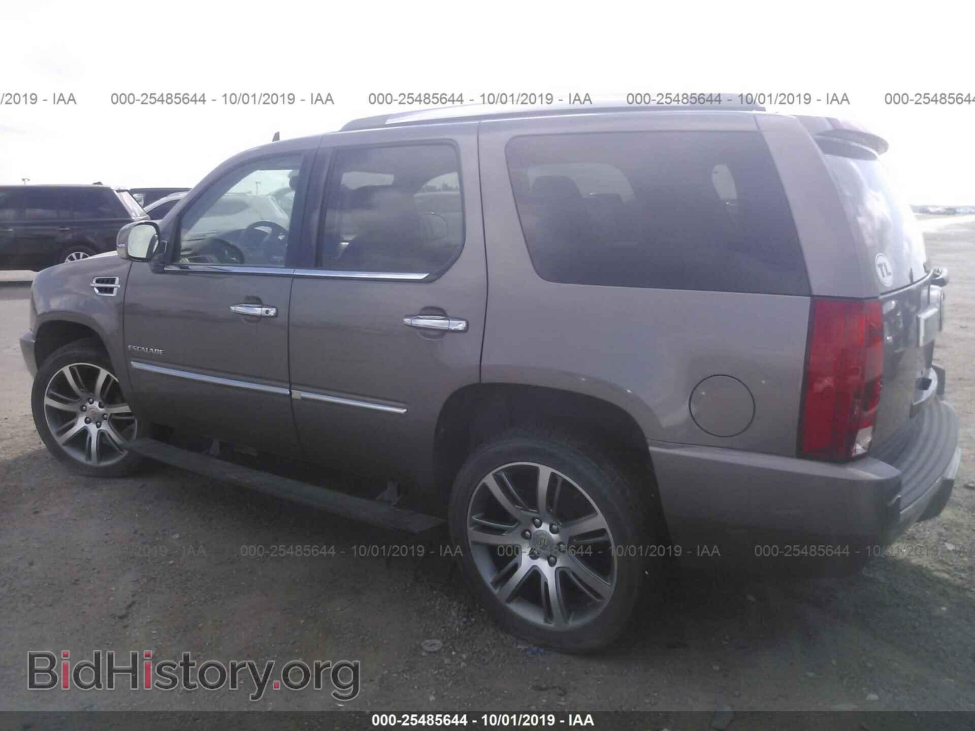 2013 CADILLAC ESCALADE - VIN: 1GYS4BEF5DR149036 - Фото 3
