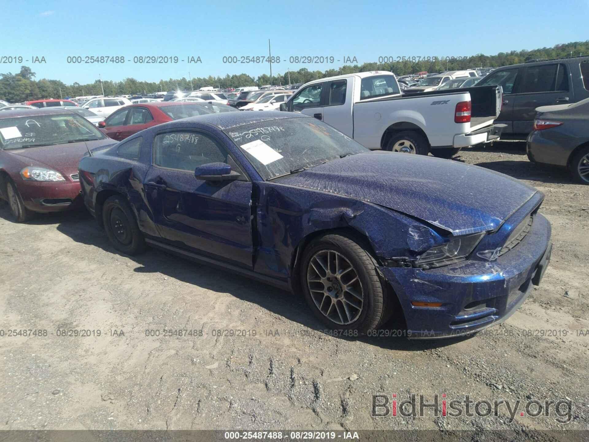 Photo 1ZVBP8AM2D5242878 - FORD MUSTANG 2013