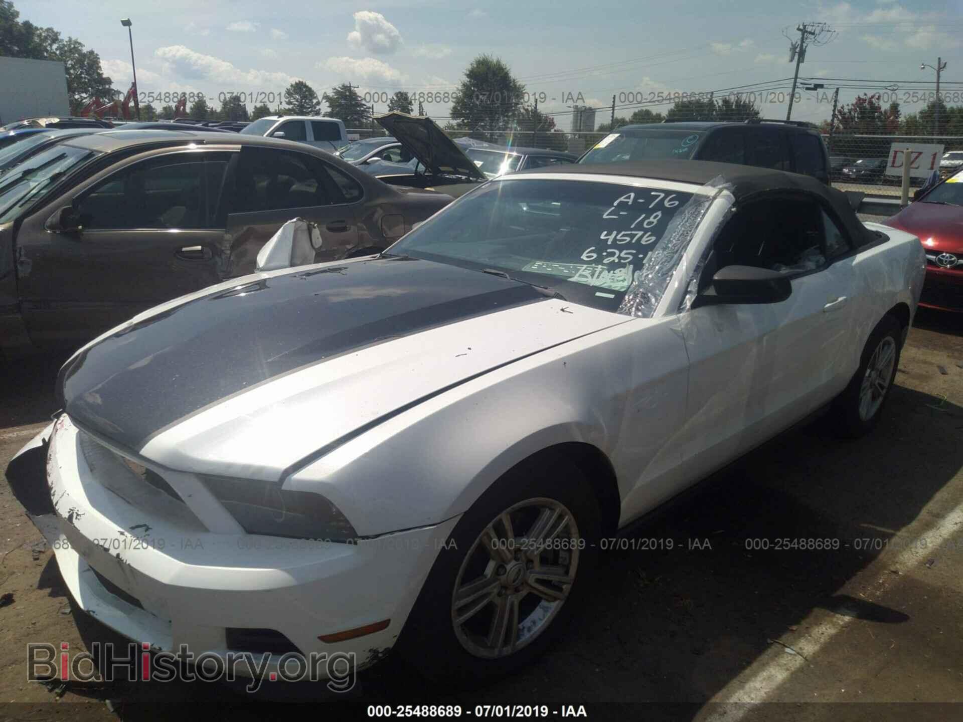 2012 FORD MUSTANG - VIN: 1ZVBP8EM7C5254579 - Фото 2