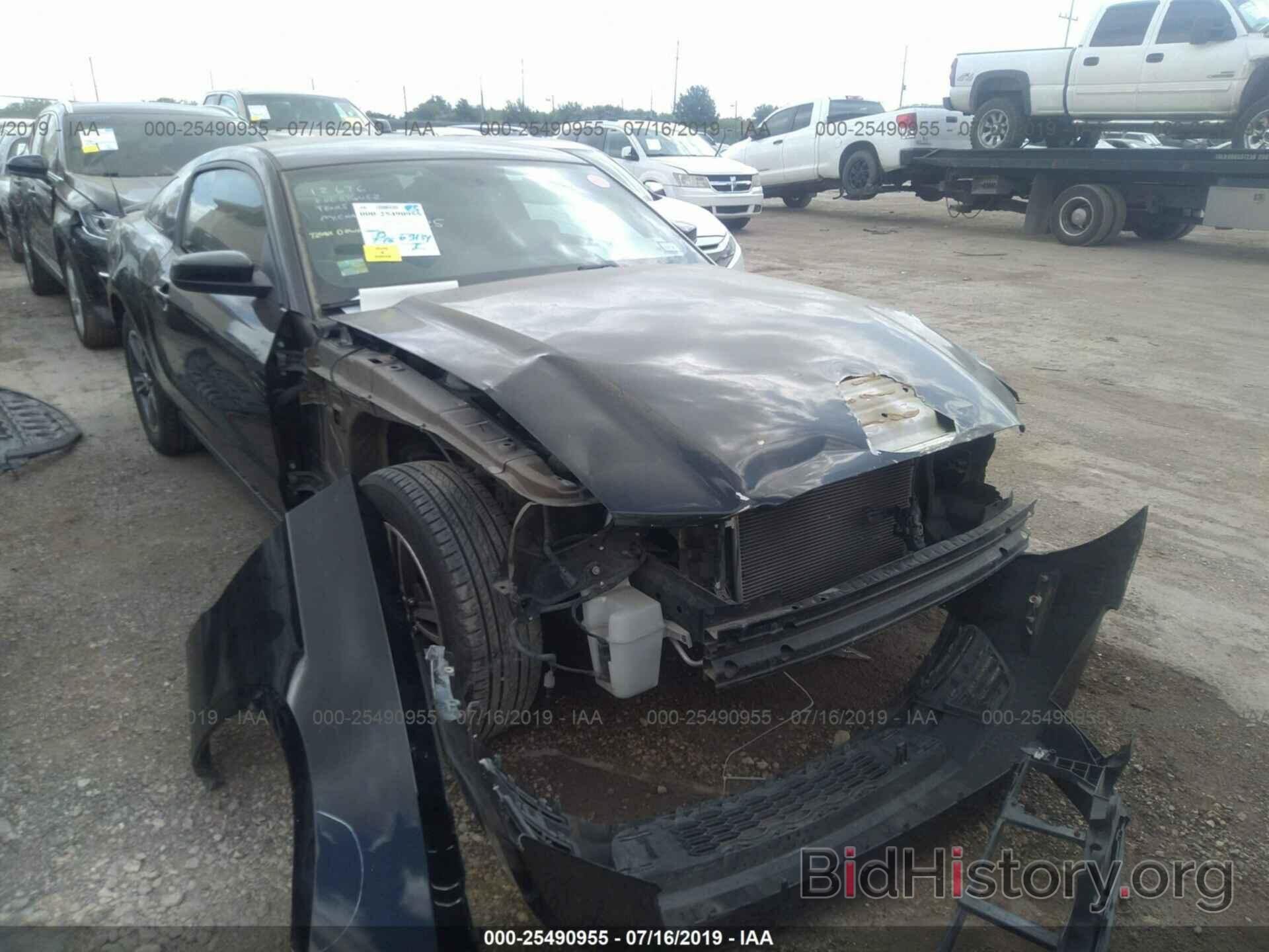 Photo 1ZVBP8AM0D5204436 - FORD MUSTANG 2013