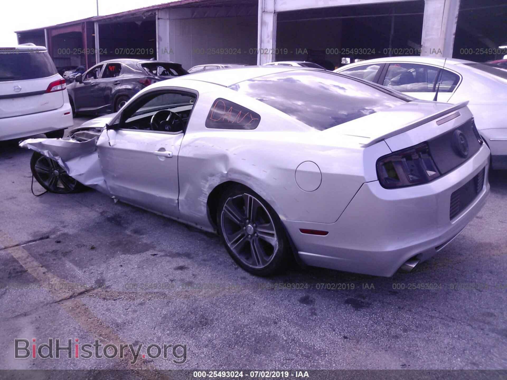 2013 FORD MUSTANG - VIN: 1ZVBP8AM2D5205765 - Фото 3