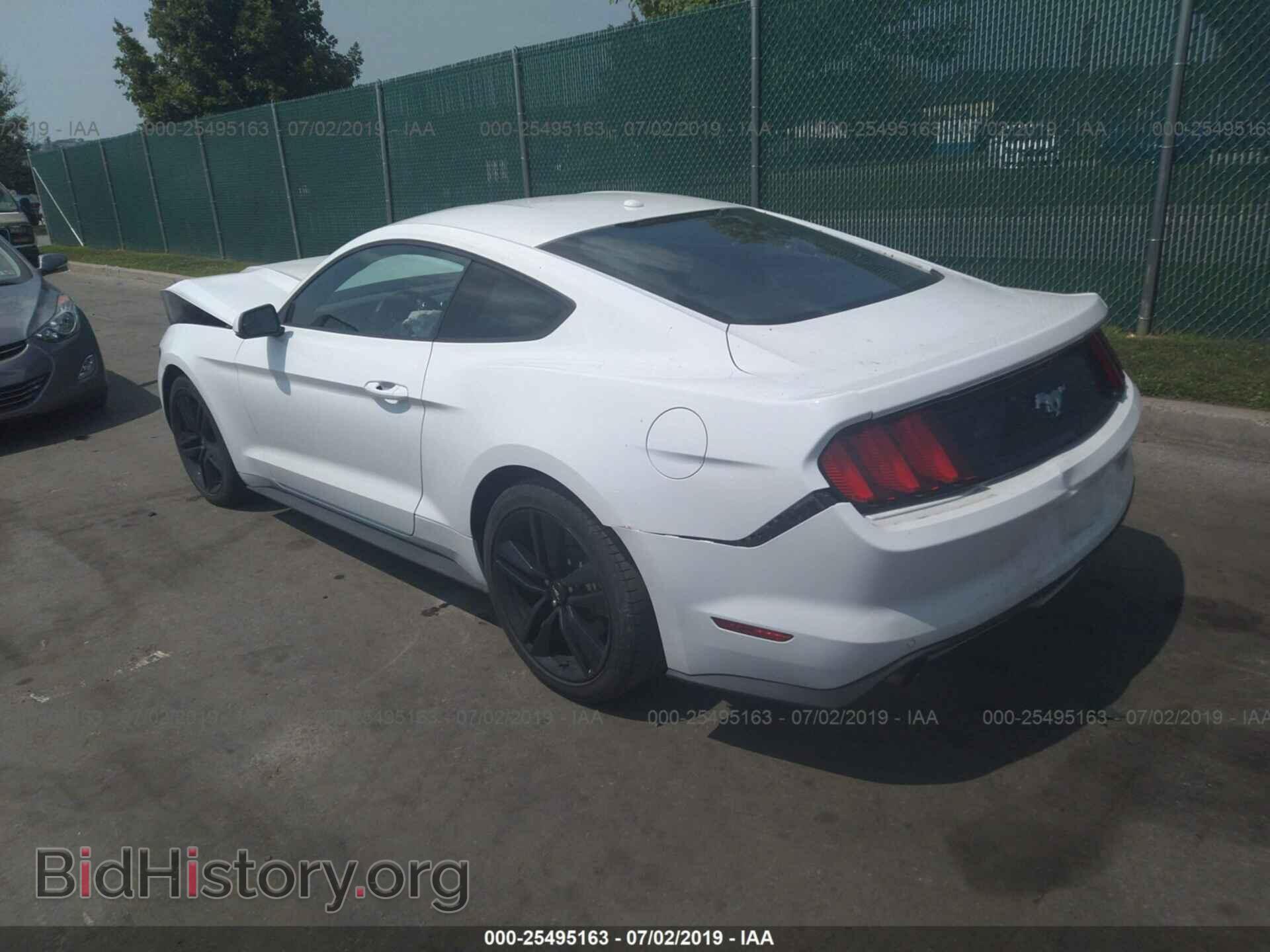 2017 FORD MUSTANG - VIN: 1FA6P8TH8H5342421 - Фото 3