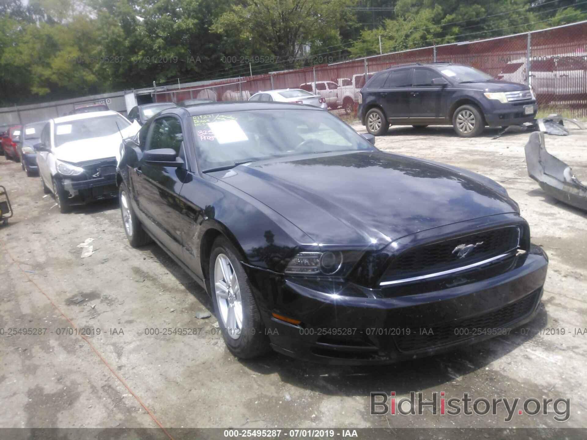 Photo 1ZVBP8AMXD5281797 - FORD MUSTANG 2013