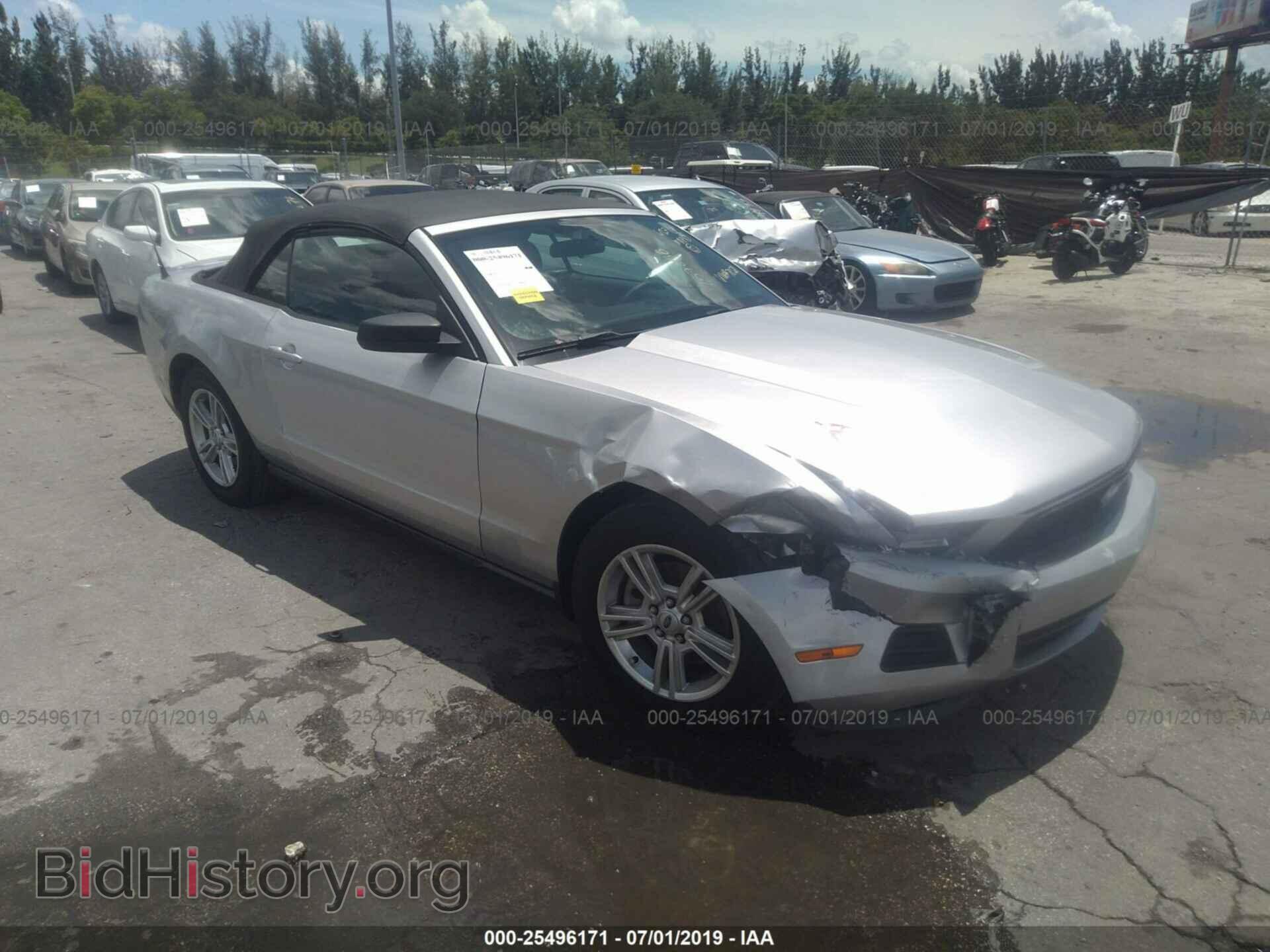 Фотография 1ZVBP8EM2C5257258 - FORD MUSTANG 2012