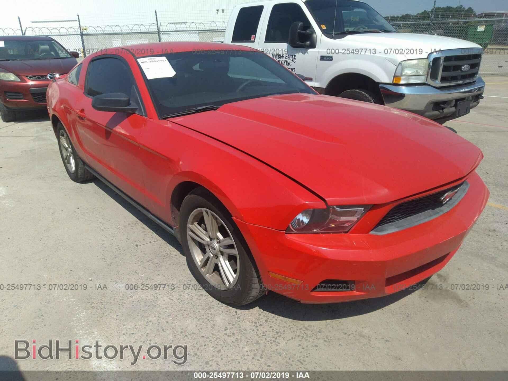 Photo 1ZVBP8AM8C5255309 - FORD MUSTANG 2012