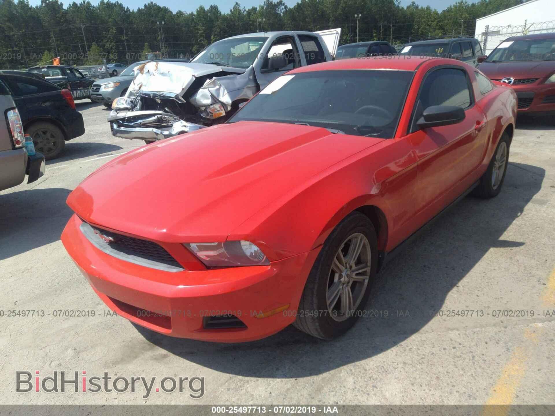 2012 FORD MUSTANG - VIN: 1ZVBP8AM8C5255309 - Фото 2
