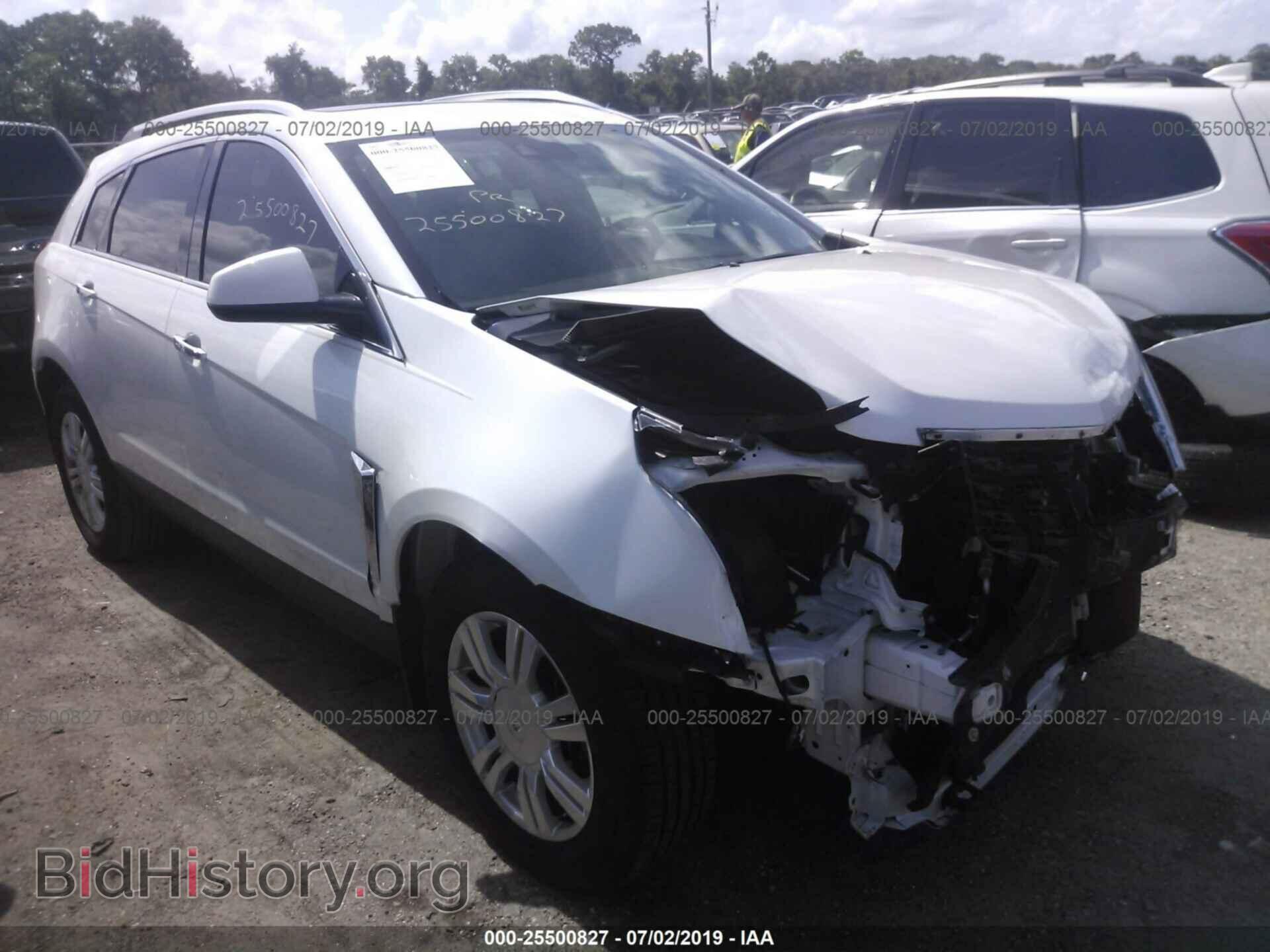 Photo 3GYFNCE33DS591546 - CADILLAC SRX 2013