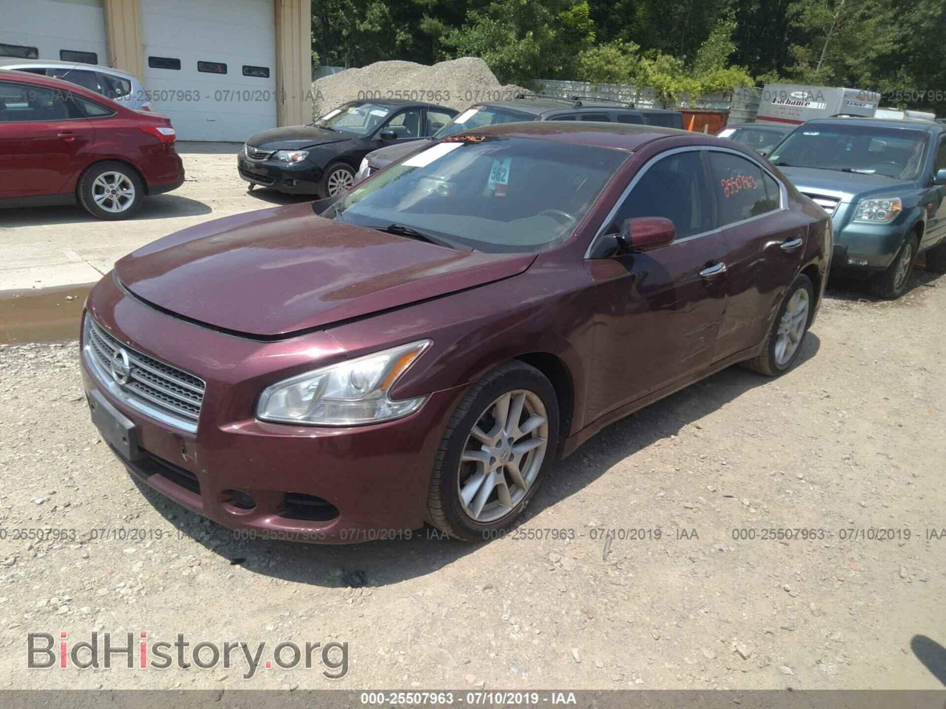 2009 NISSAN MAXIMA - VIN: 1N4AA51E69C858308 - Фото 2
