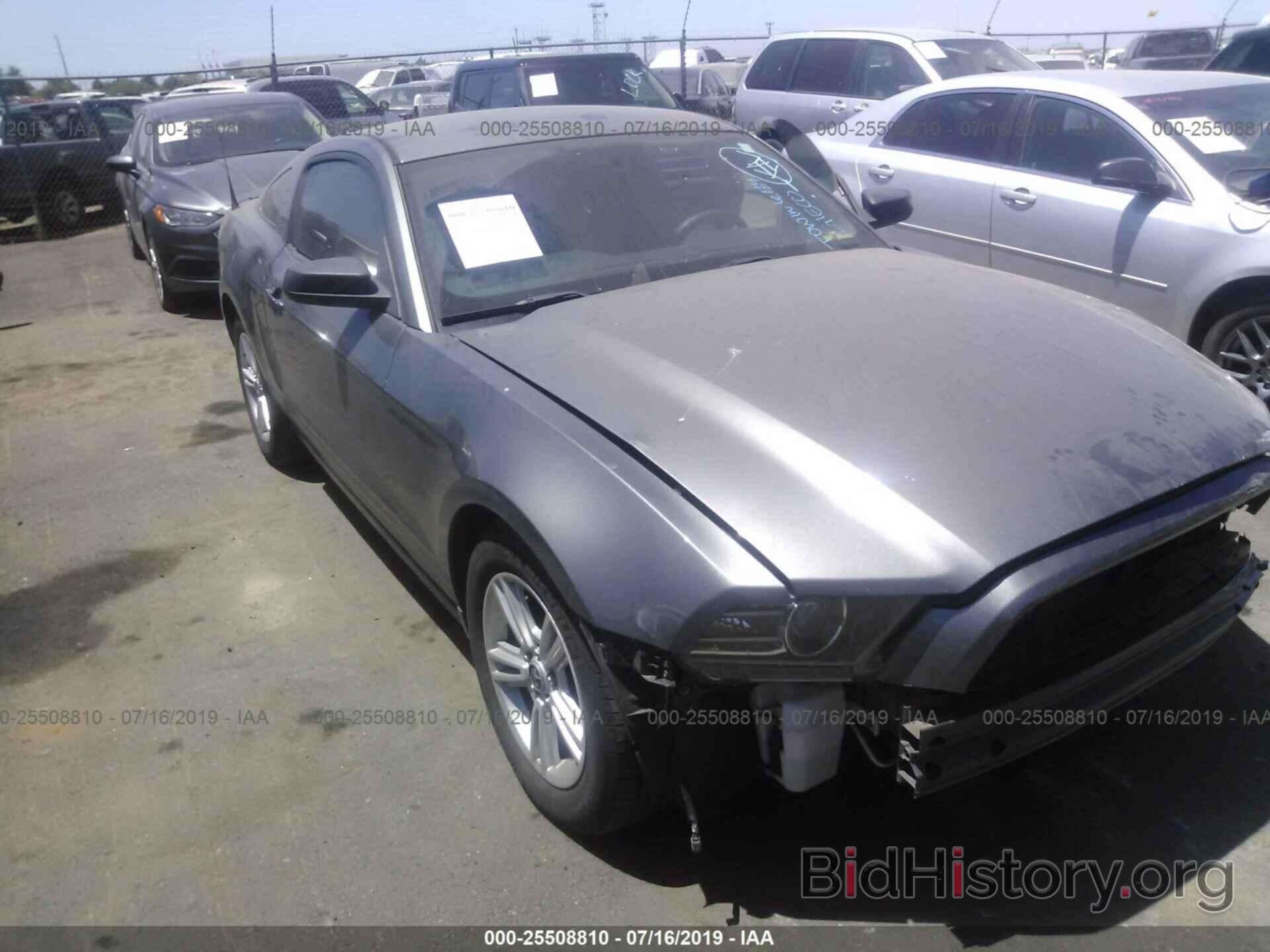 Photo 1ZVBP8AM0D5262658 - FORD MUSTANG 2013