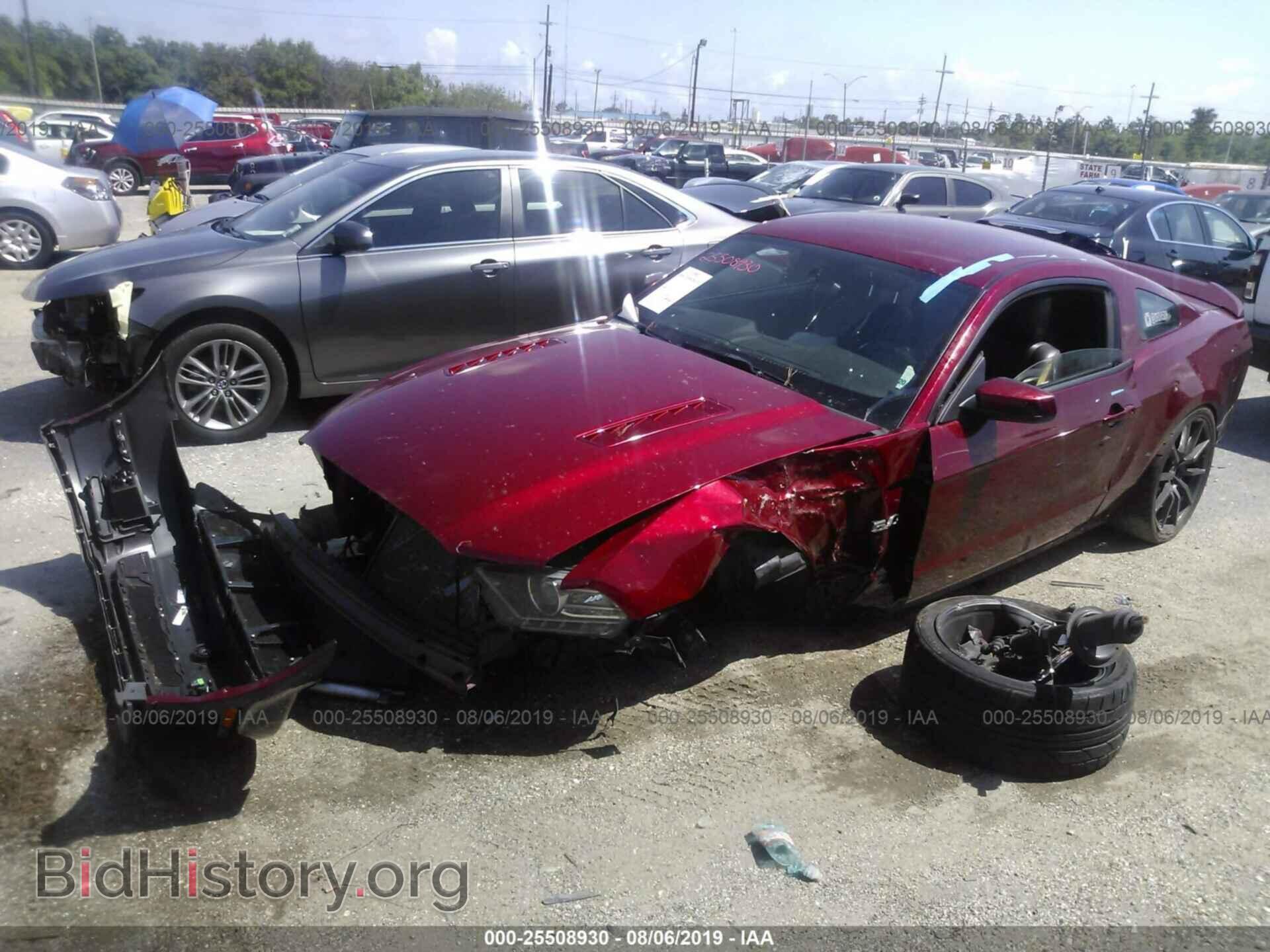 2014 FORD MUSTANG - VIN: 1ZVBP8CF4E5260069 - Фото 2