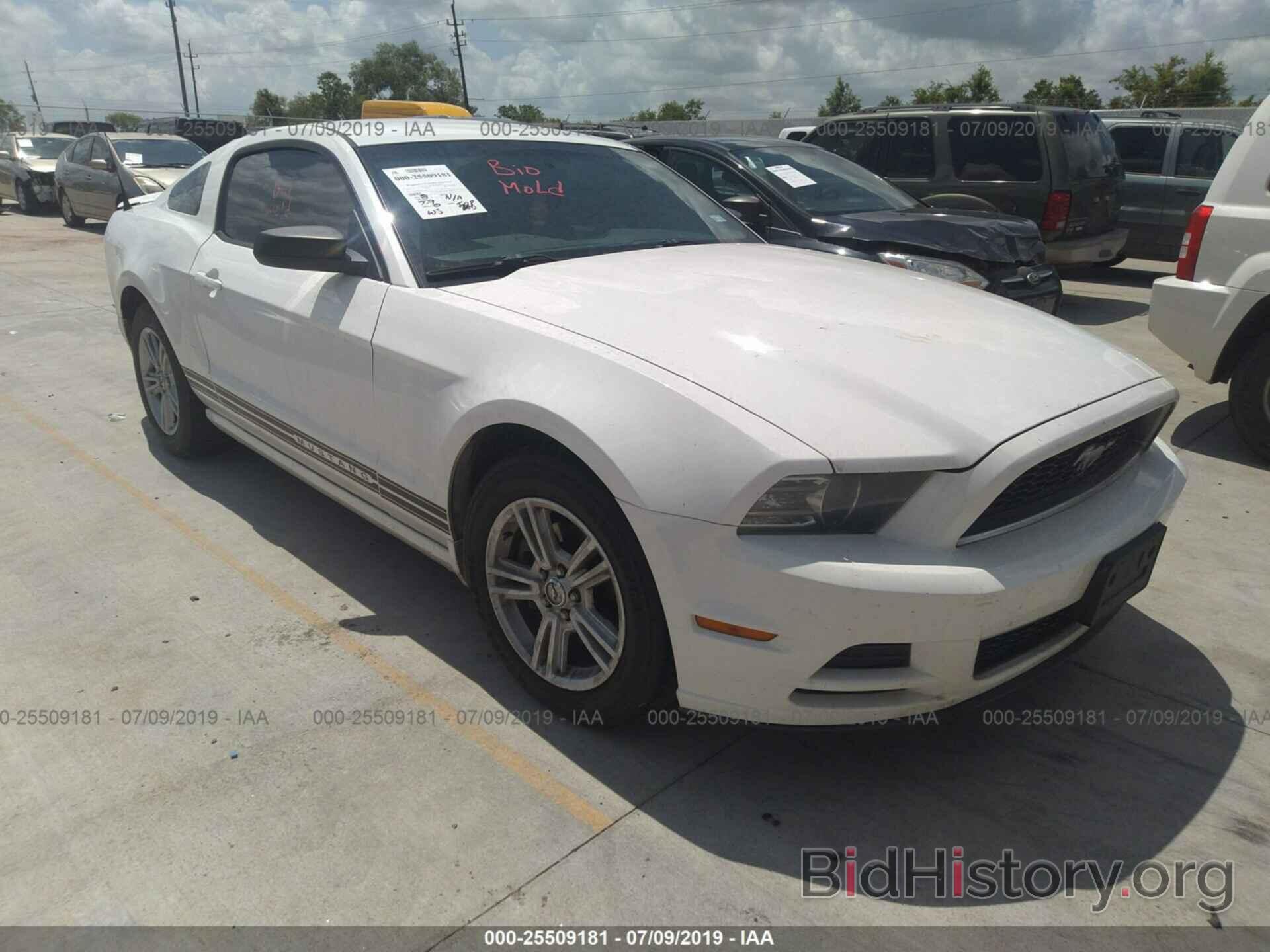 Photo 1ZVBP8AM7D5244870 - FORD MUSTANG 2013