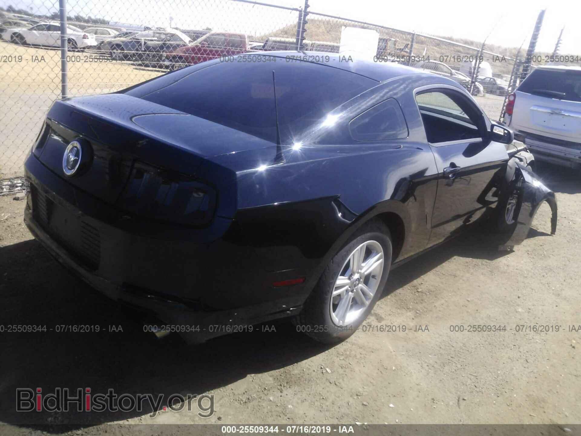 2014 FORD MUSTANG - VIN: 1ZVBP8AM0E5245487 - Фото 4