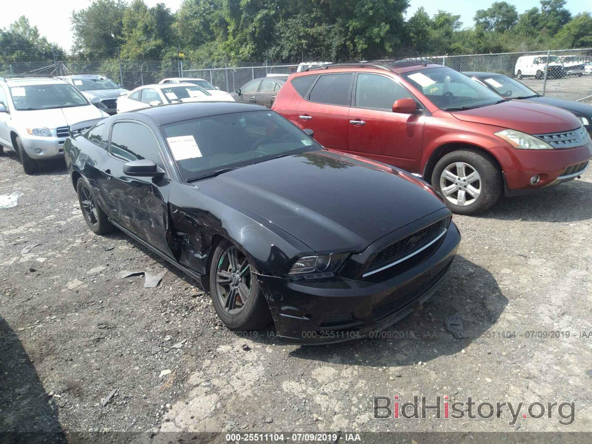 Photo 1ZVBP8AMXD5203522 - FORD MUSTANG 2013