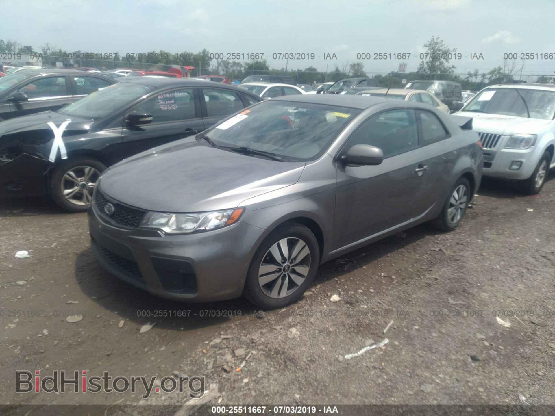 2013 KIA FORTE - VIN: KNAFU6A21D5658661 - Фото 2