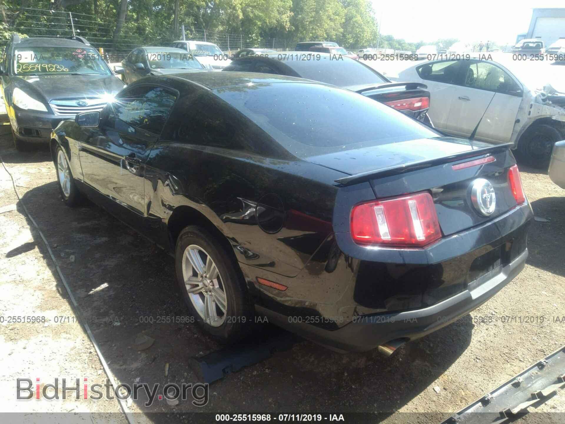 2011 FORD MUSTANG - VIN: 1ZVBP8AM3B5155603 - Фото 3