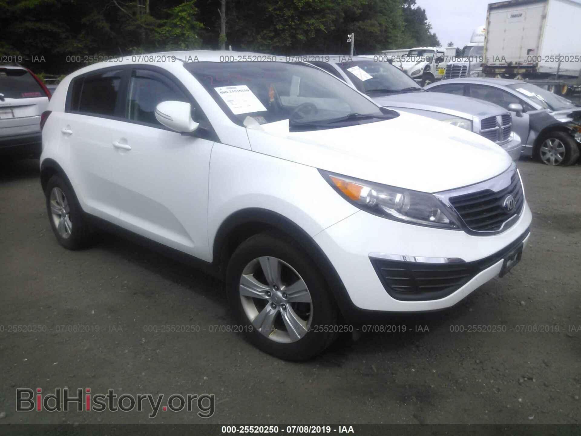 Фотография KNDPB3A21D7366444 - KIA SPORTAGE 2013
