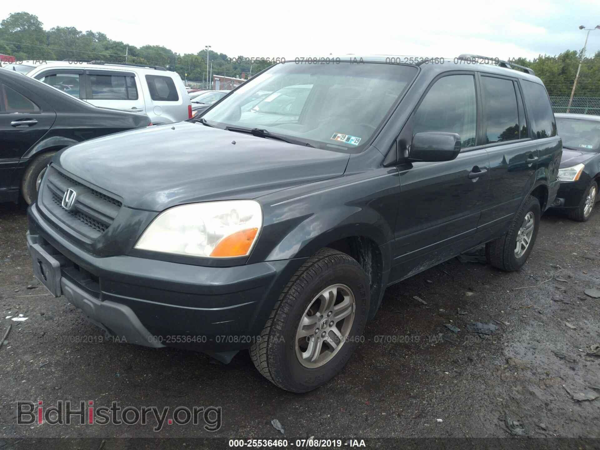 2005 HONDA PILOT - VIN: 5FNYF185X5B024371 - Фото 2