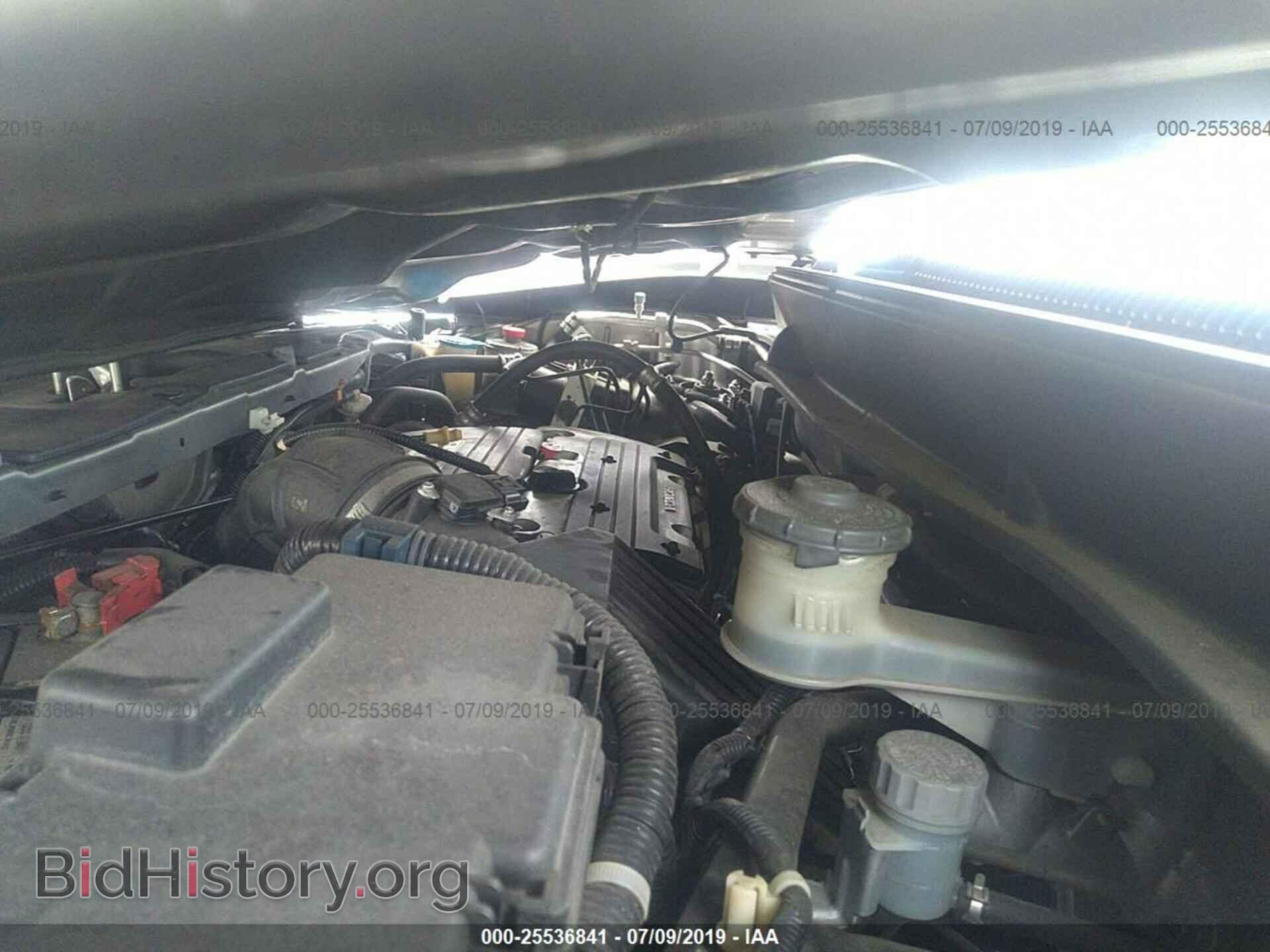 2007 HONDA ELEMENT - VIN: 5J6YH17987L006184 - Фото 10