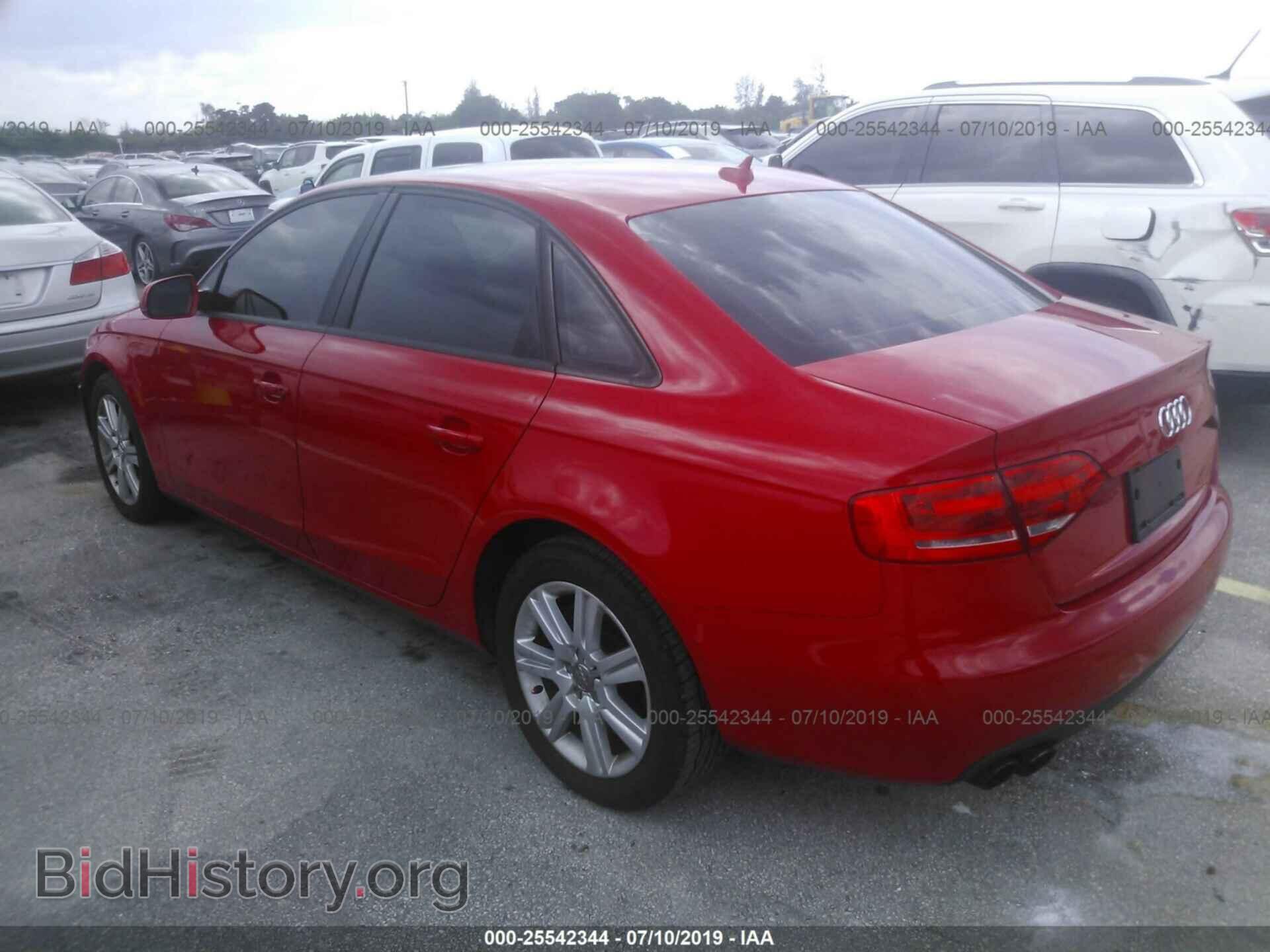 2010 AUDI A4 - VIN: WAUAFAFL8AN012179 - Фото 3