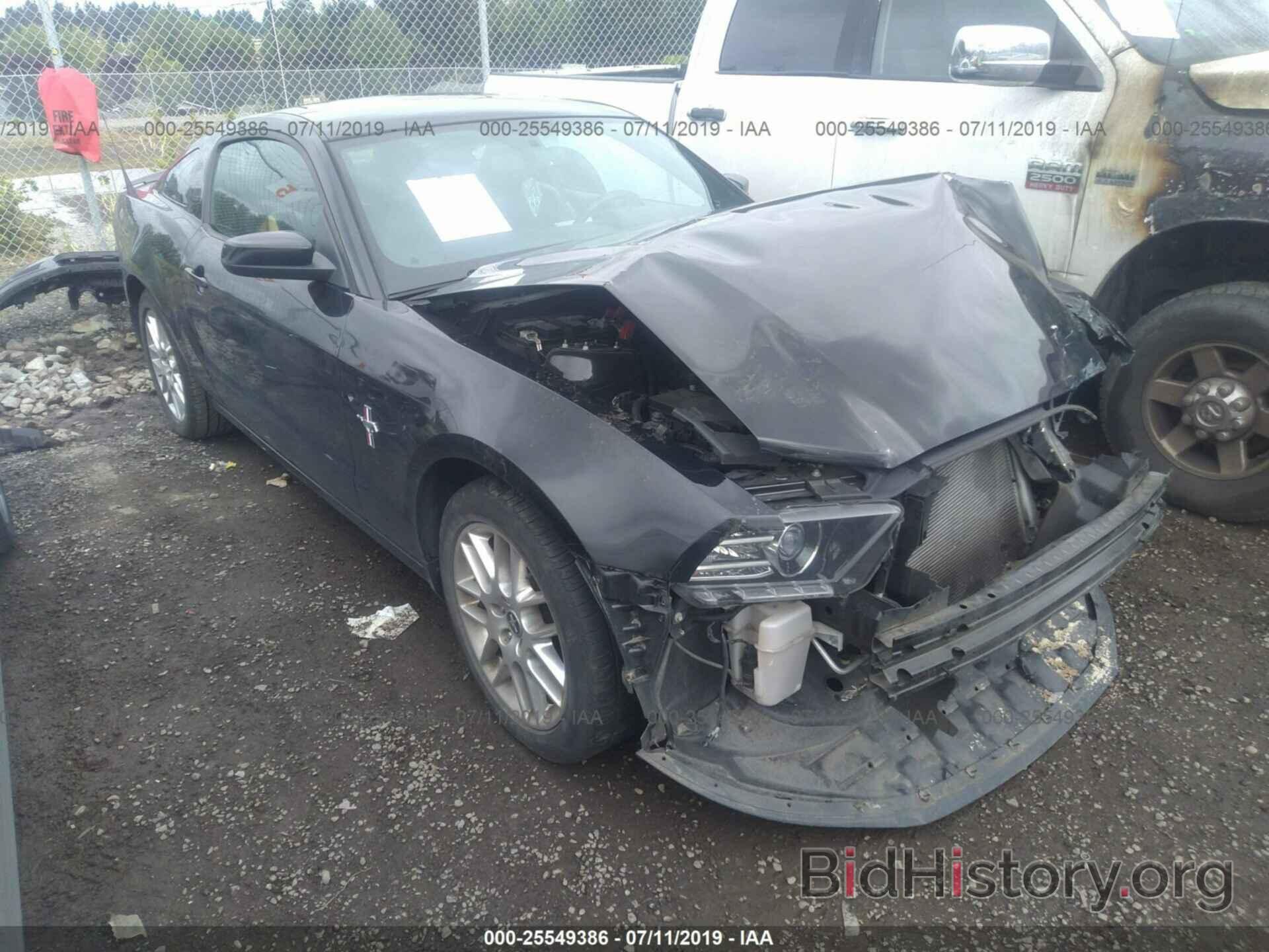 Photo 1ZVBP8AM5E5201078 - FORD MUSTANG 2014