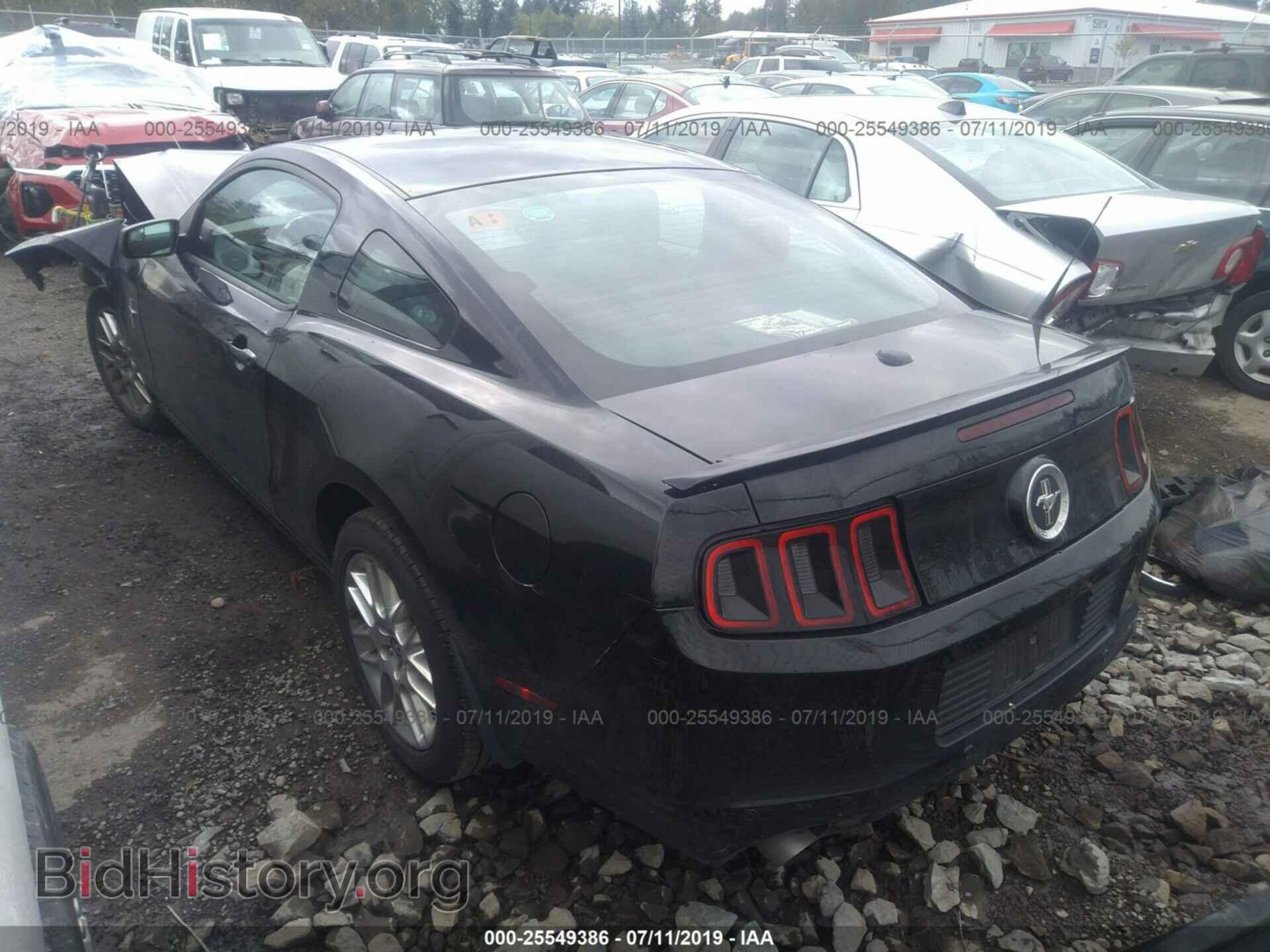 2014 FORD MUSTANG - VIN: 1ZVBP8AM5E5201078 - Фото 3