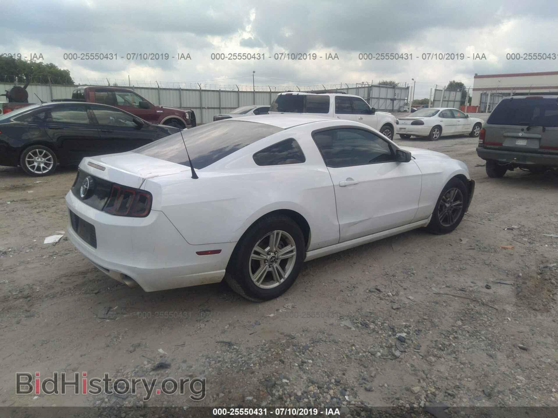 2014 FORD MUSTANG - VIN: 1ZVBP8AM0E5233162 - Фото 4