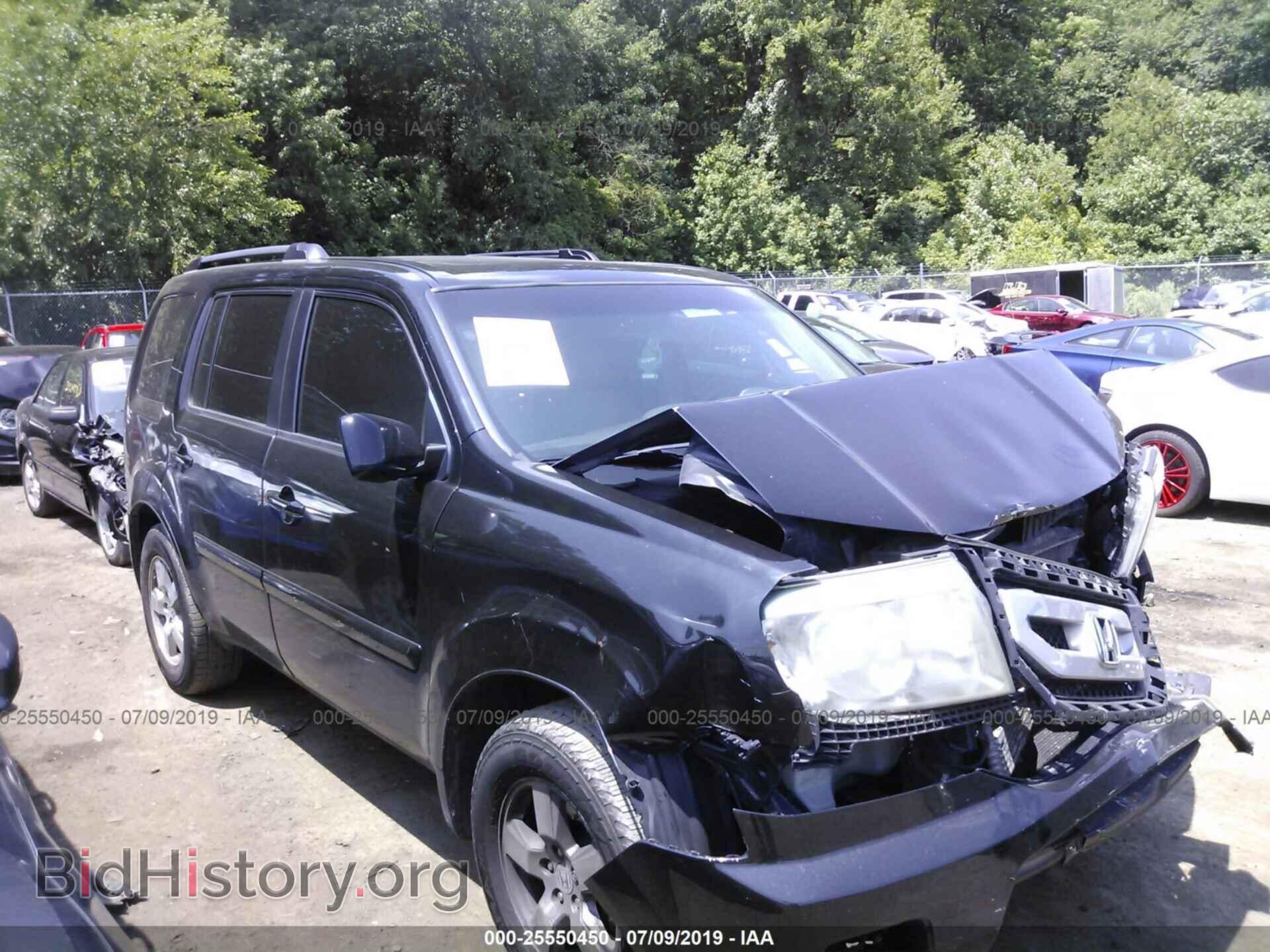 Фотография 5FNYF3H53BB026762 - HONDA PILOT 2011