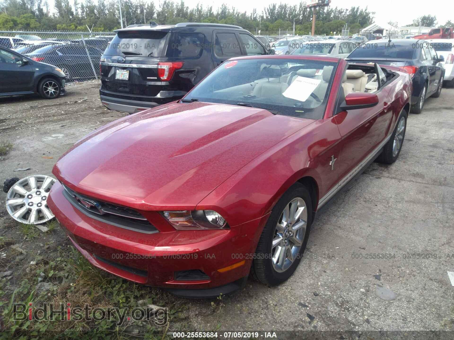 2011 FORD MUSTANG - VIN: 1ZVBP8EM3B5110266 - Фото 2