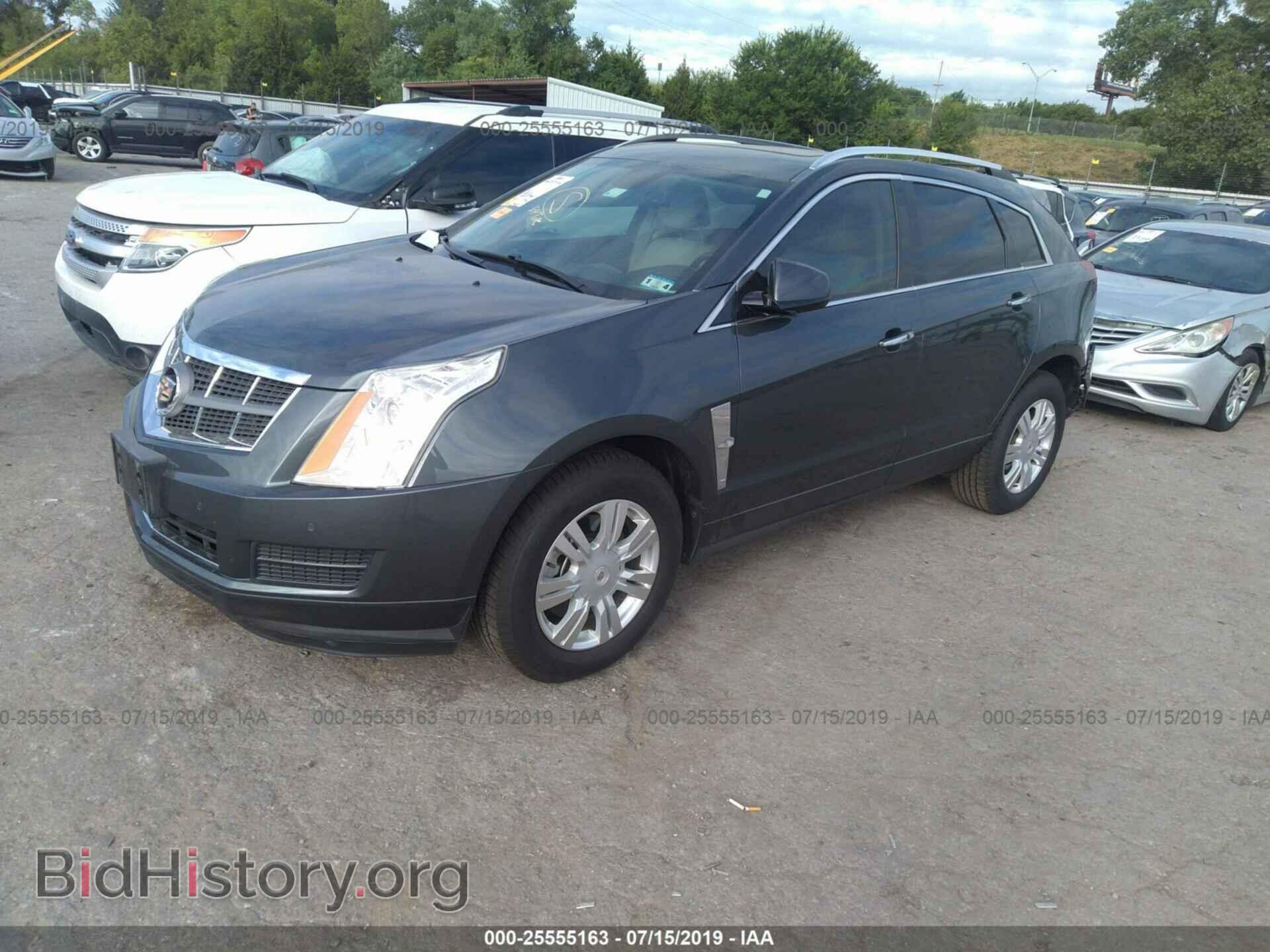 2012 CADILLAC SRX - VIN: 3GYFNAE33CS581361 - Фото 2