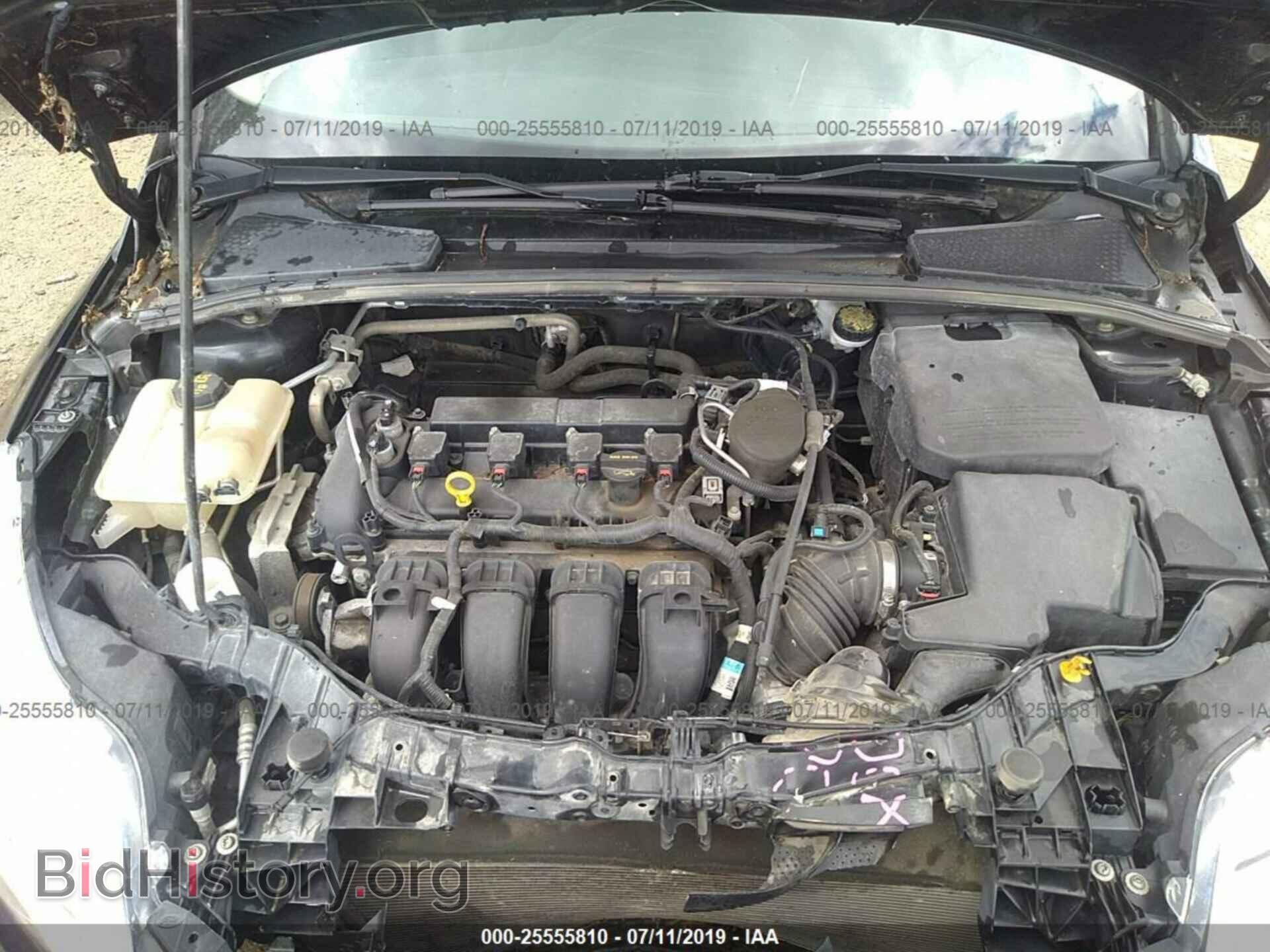 2014 FORD FOCUS - VIN: 1FADP3F25EL129015 - Фото 10