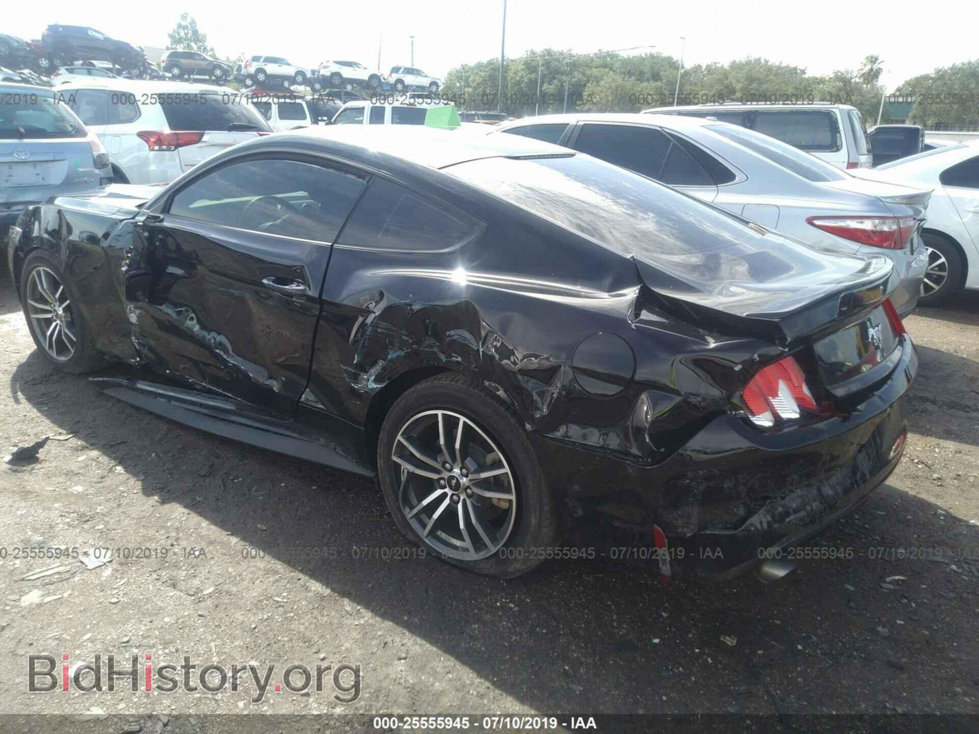 2017 FORD MUSTANG - VIN: 1FA6P8TH5H5319565 - Фото 3