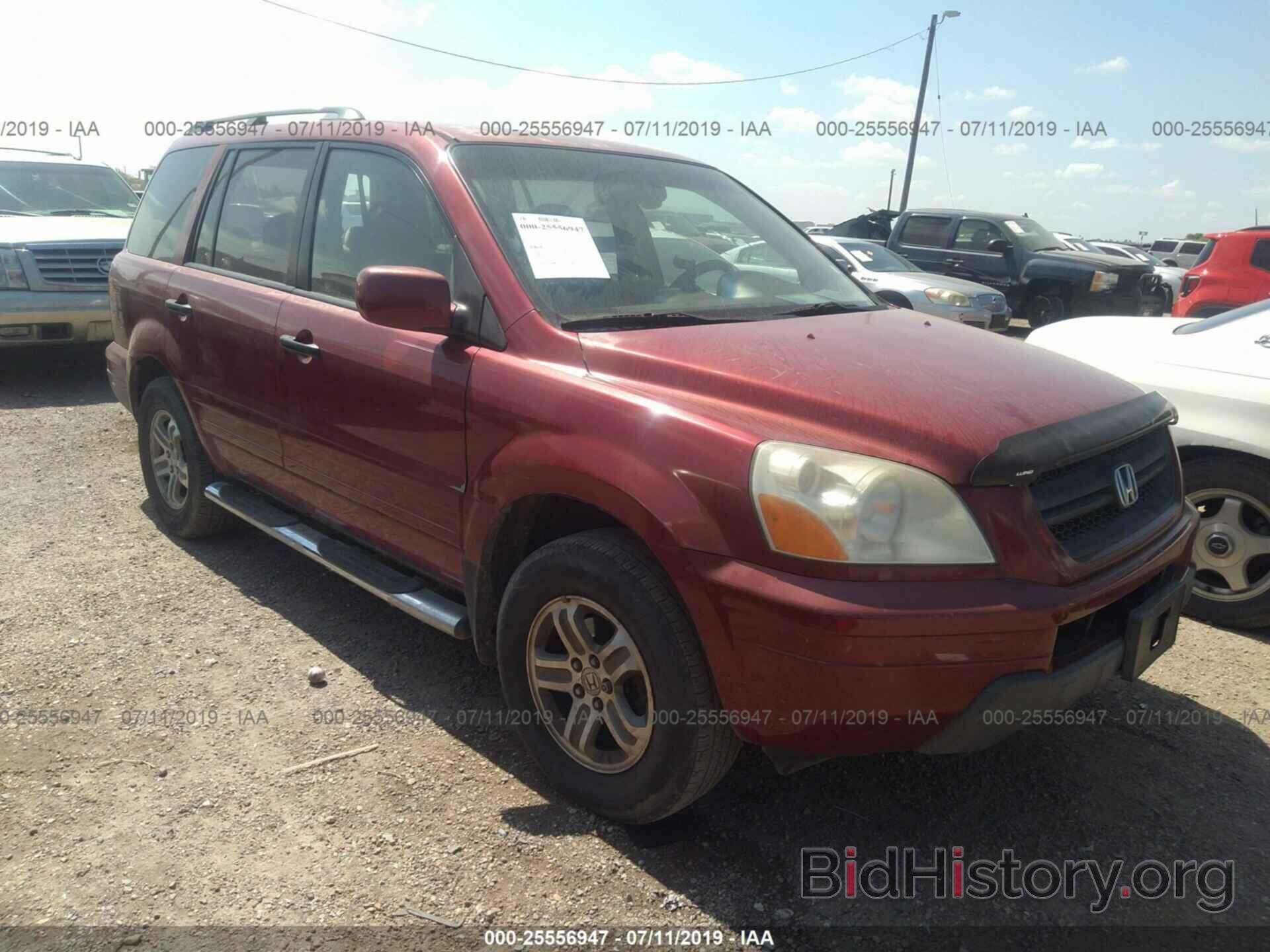 Photo 5FNYF18404B009111 - HONDA PILOT 2004