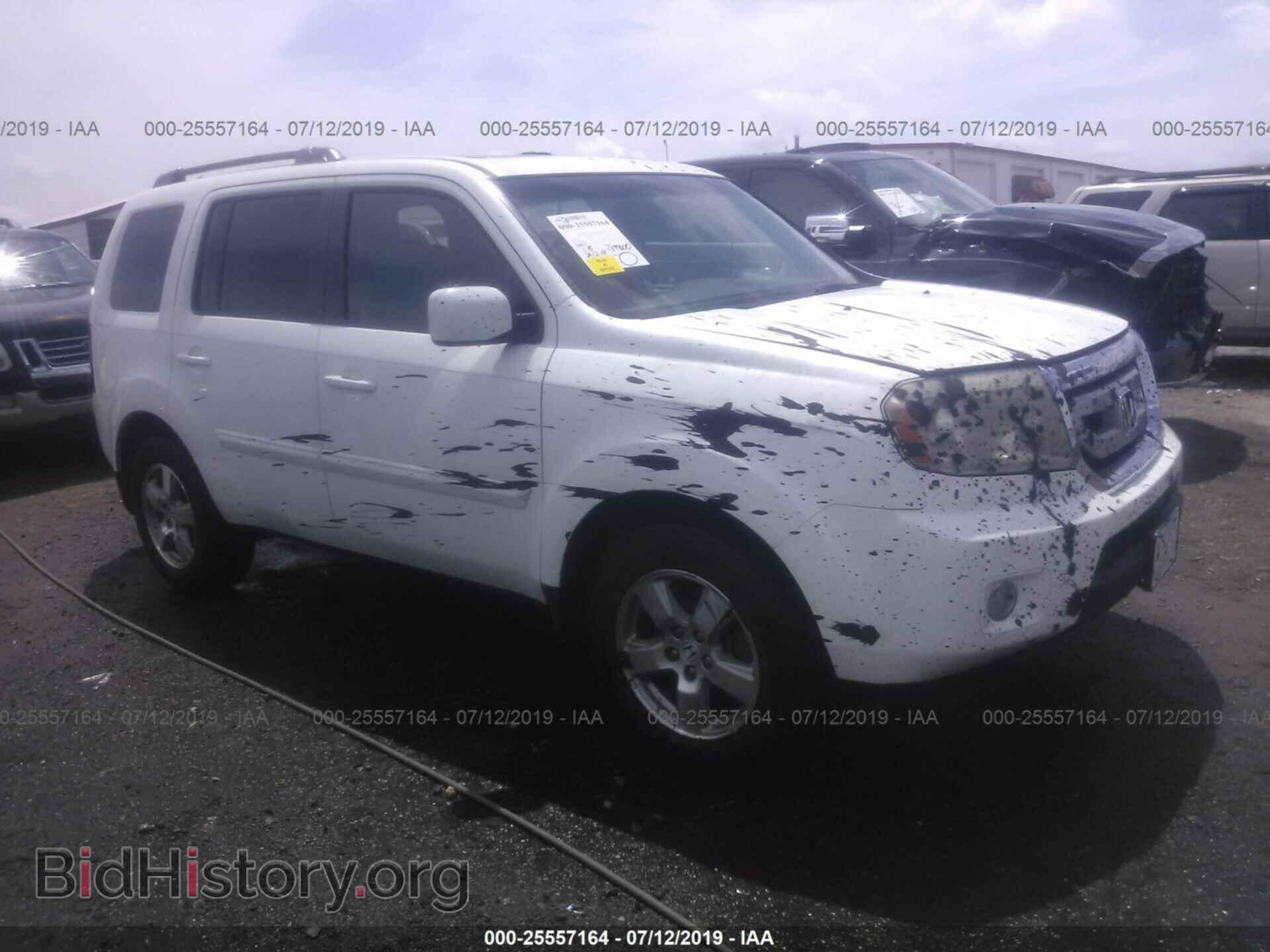 Фотография 5FNYF4H69BB060672 - HONDA PILOT 2011