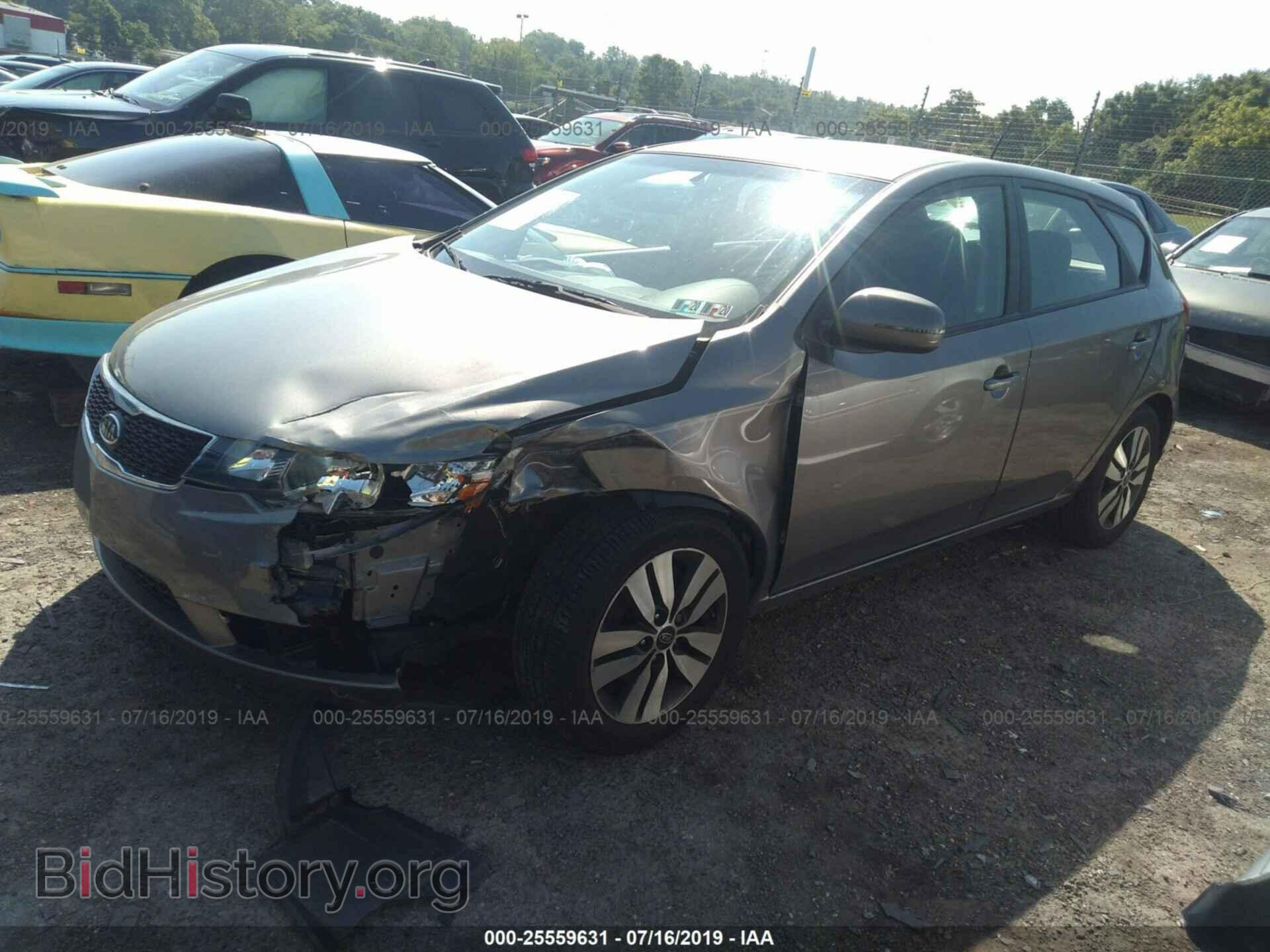 2013 KIA FORTE - VIN: KNAFU5A20D5658080 - Photo 2