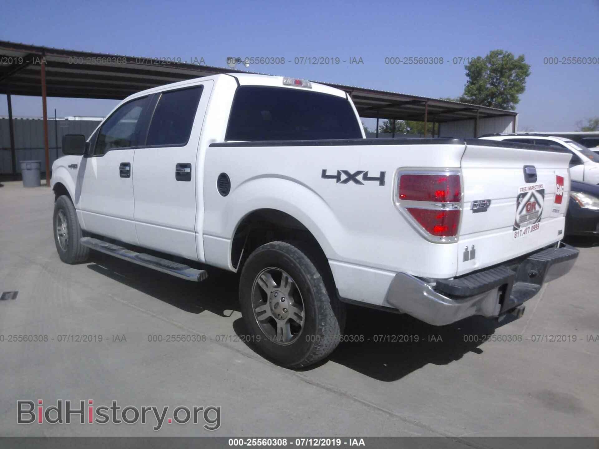 2010 FORD F150 - VIN: 1FTFW1EV5AFC15911 - Фото 3