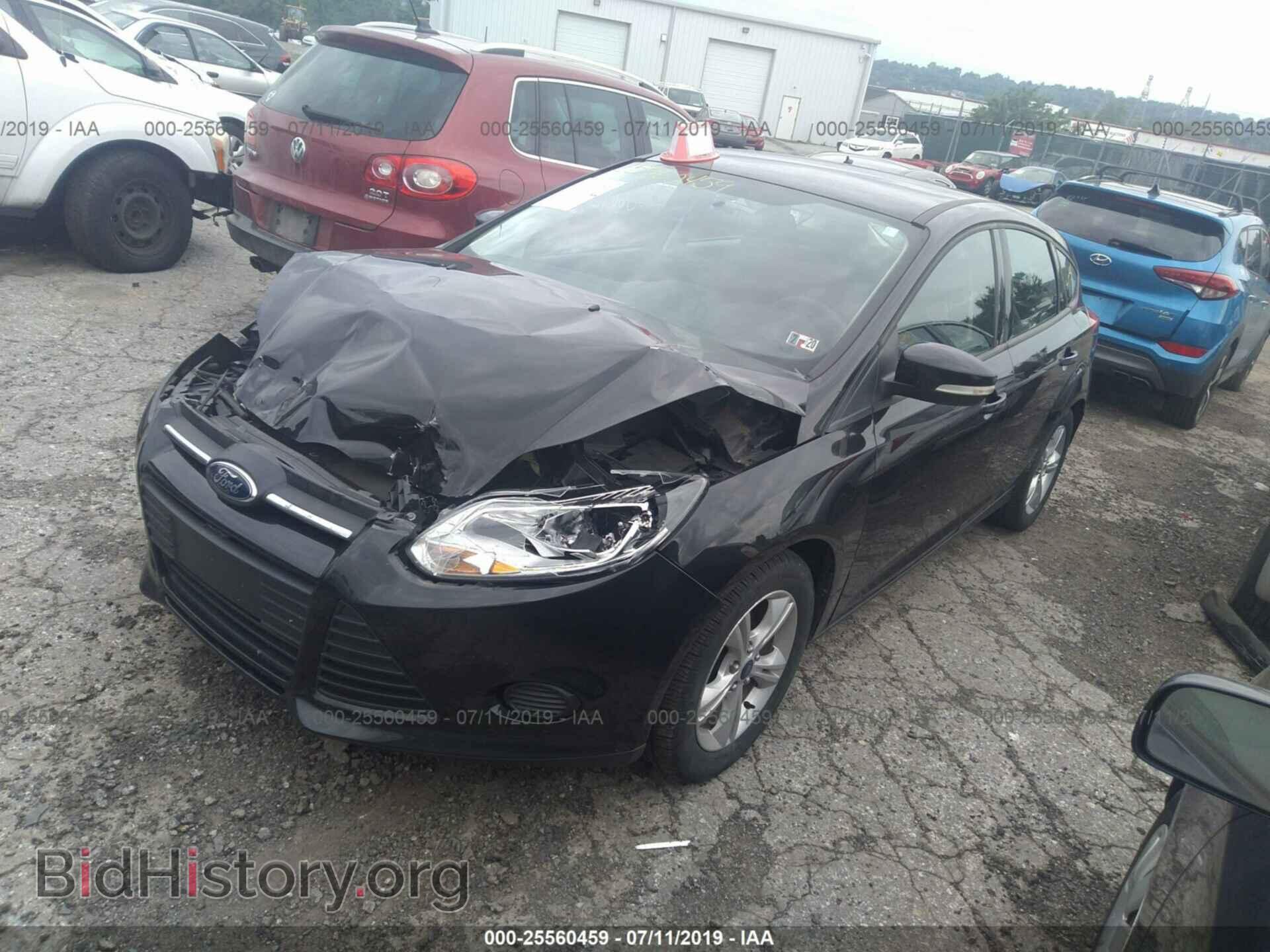 2013 FORD FOCUS - VIN: 1FADP3K24DL203156 - Фото 2