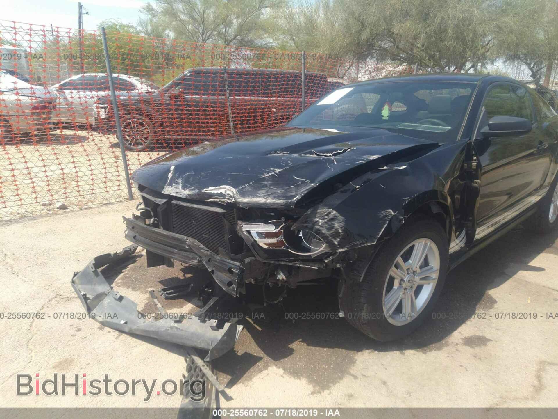 2011 FORD MUSTANG - VIN: 1ZVBP8AM4B5116521 - Photo 6