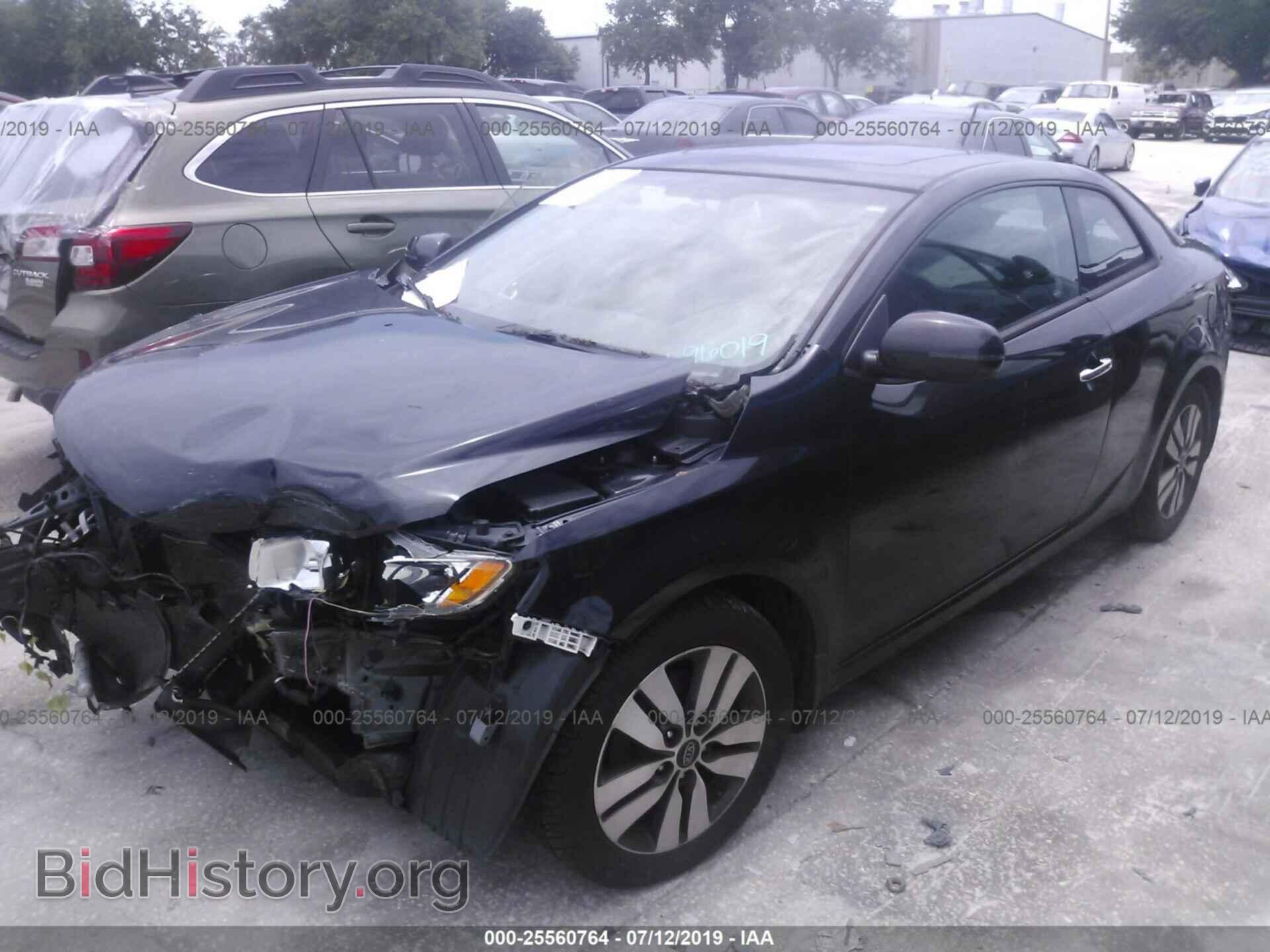 2013 KIA FORTE - VIN: KNAFU6A23D5696019 - Photo 2